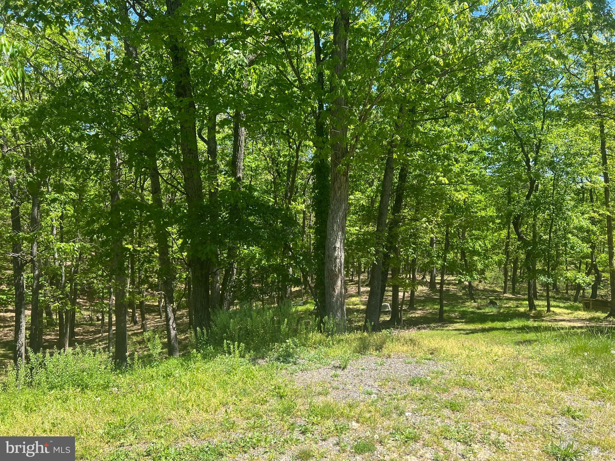 MINERAL COUNTY - Residential