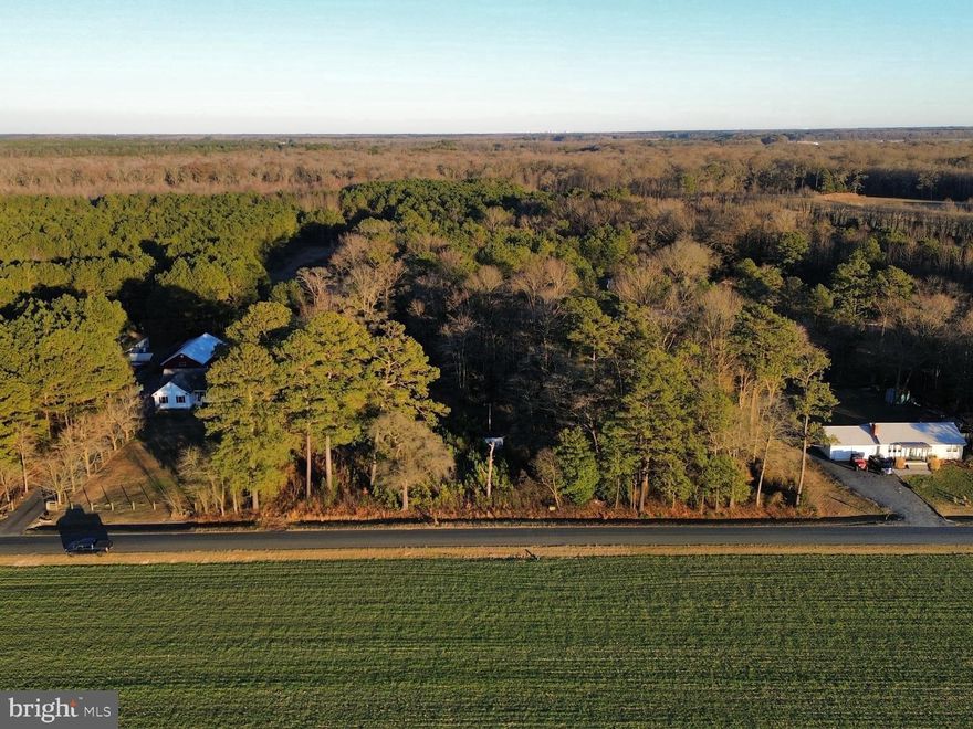 Discover the possibilities with this nearly one-acre residential lot located at 8313 Littleton Rd in Willards, MD. Offering a peaceful, rural setting, this property provides a great opportunity for buyers looking to invest in land on Maryland’s Eastern Shore. Enjoy the convenience of being just a short drive to Ocean City, Assateague Island, and other beautiful coastal destinations, while still experiencing the charm and privacy of country living. Property is being sold as vacant land only. Buyer to conduct all due diligence regarding potential use. Don’t miss the chance to own a spacious piece of land close to the beaches at an affordable price! We are calling highest and best offer, the sellers will be making a decision by 5 p.m. on January 22,2026.