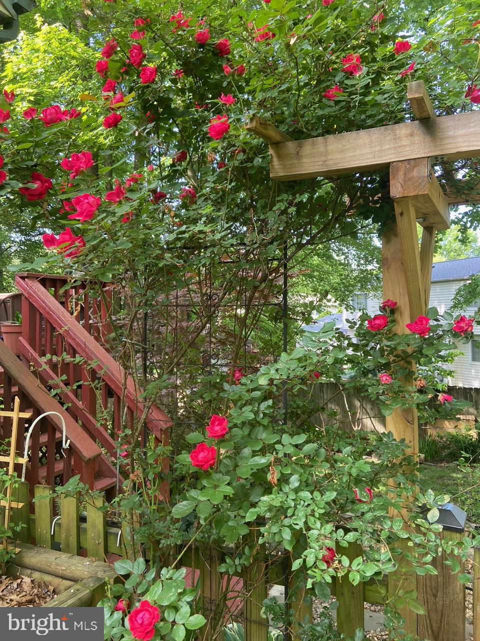 SIGNAL HILL - Residential