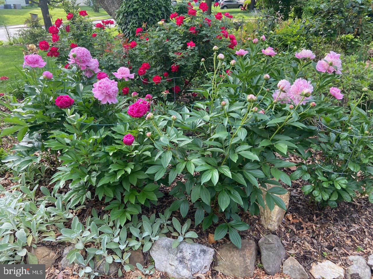 9101 BLUE JUG LANDING