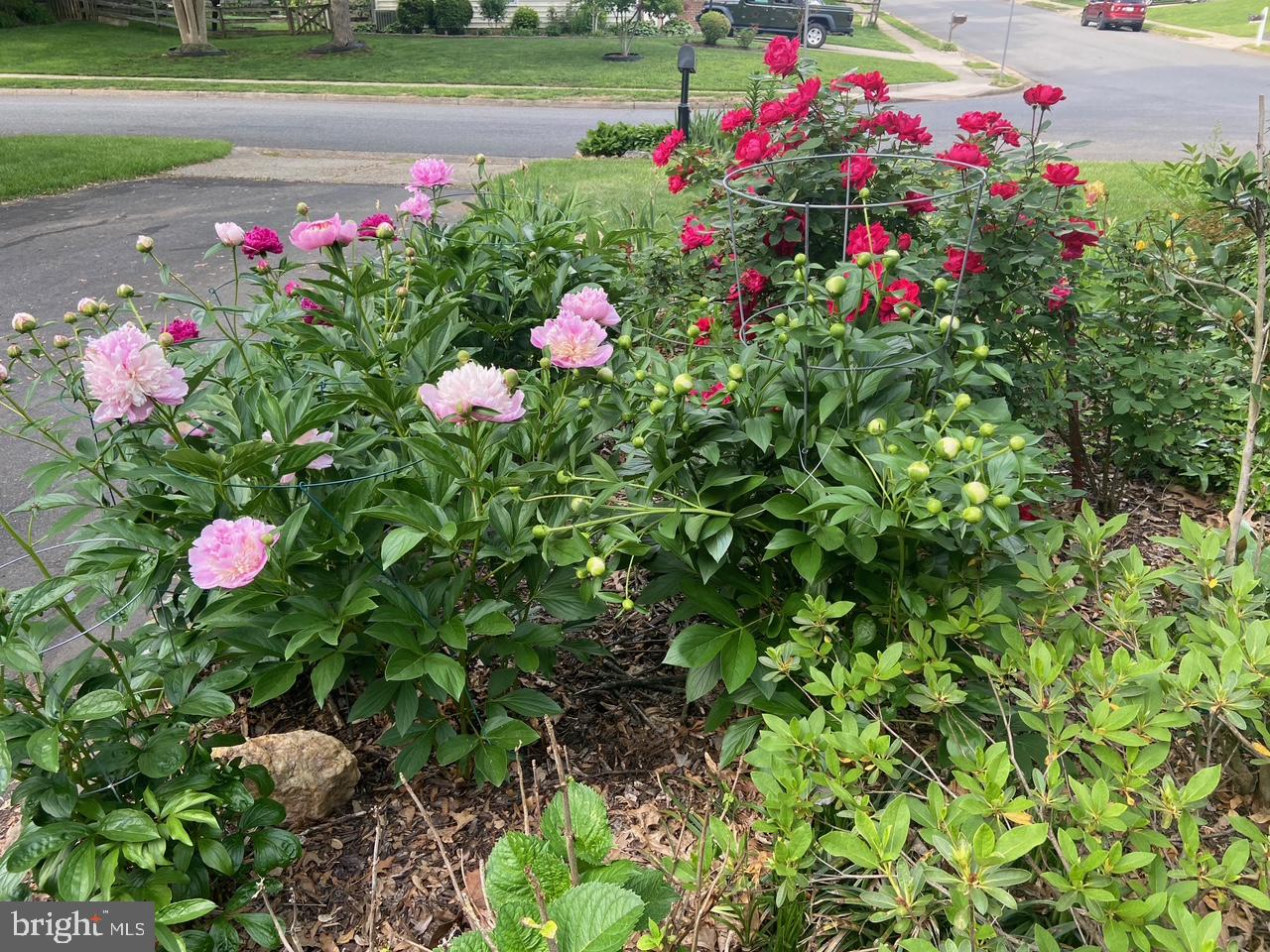 9101 BLUE JUG LANDING