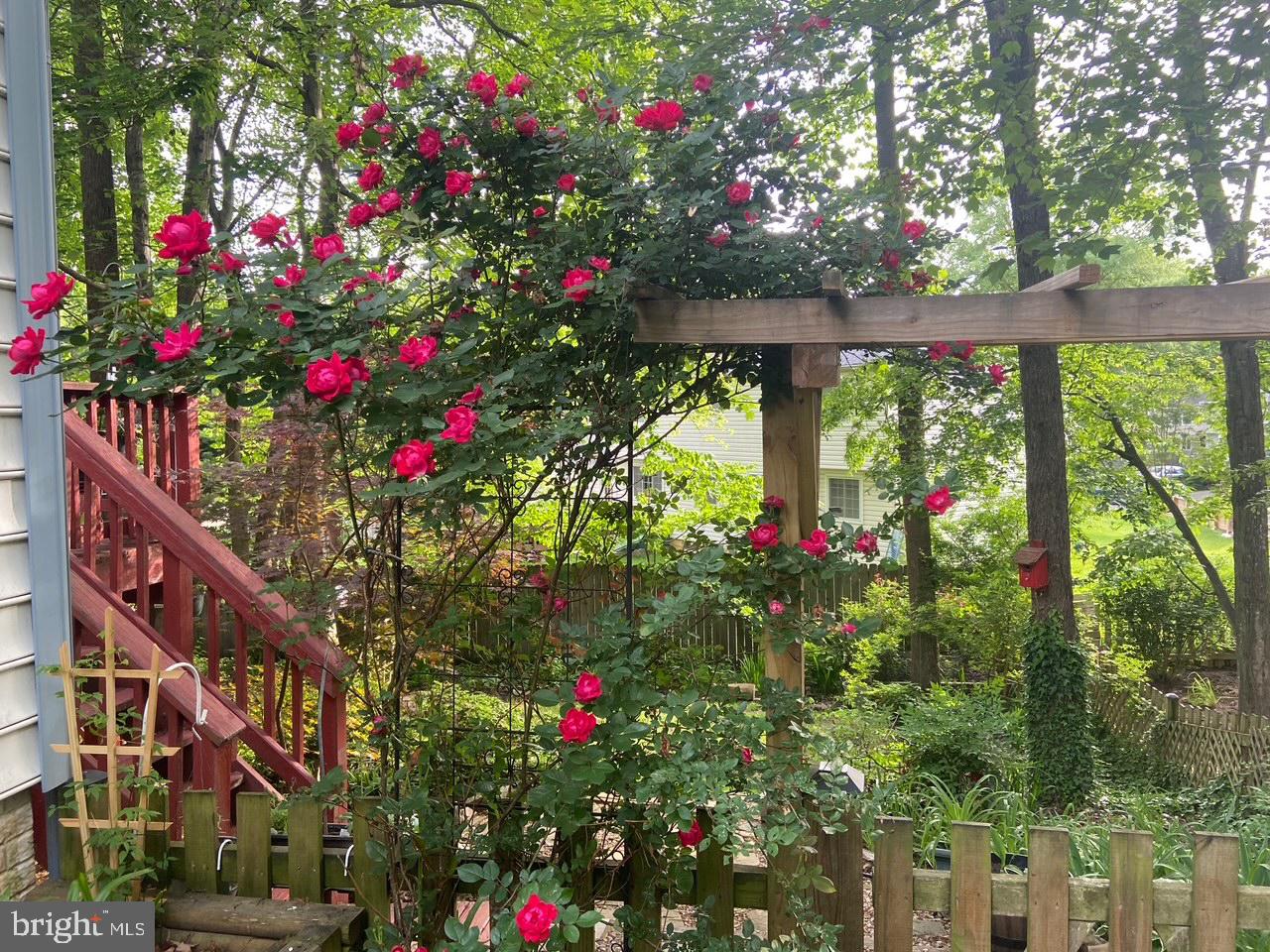 9101 BLUE JUG LANDING