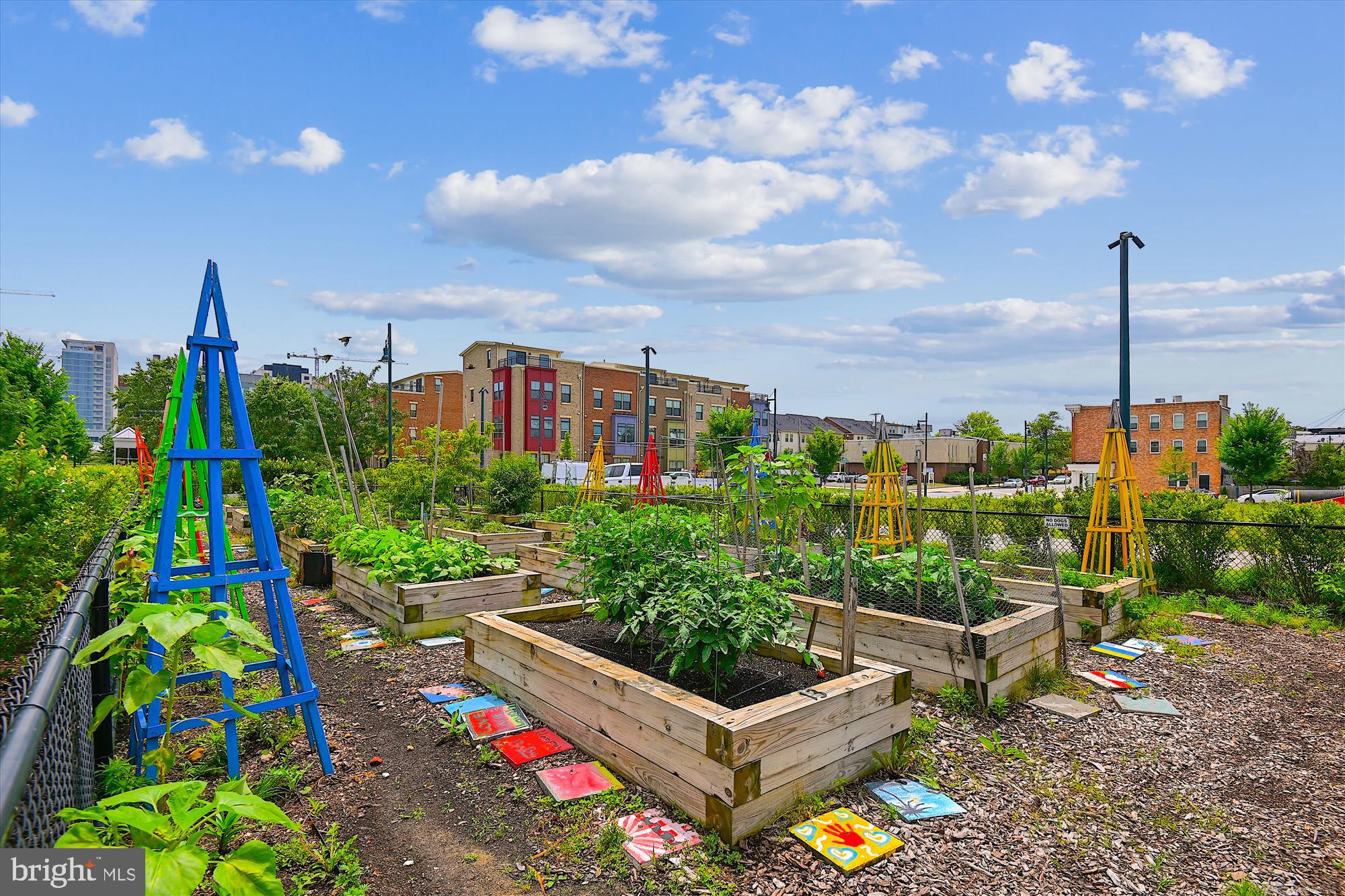 EAGER PARK TOWNHOMES - Residential