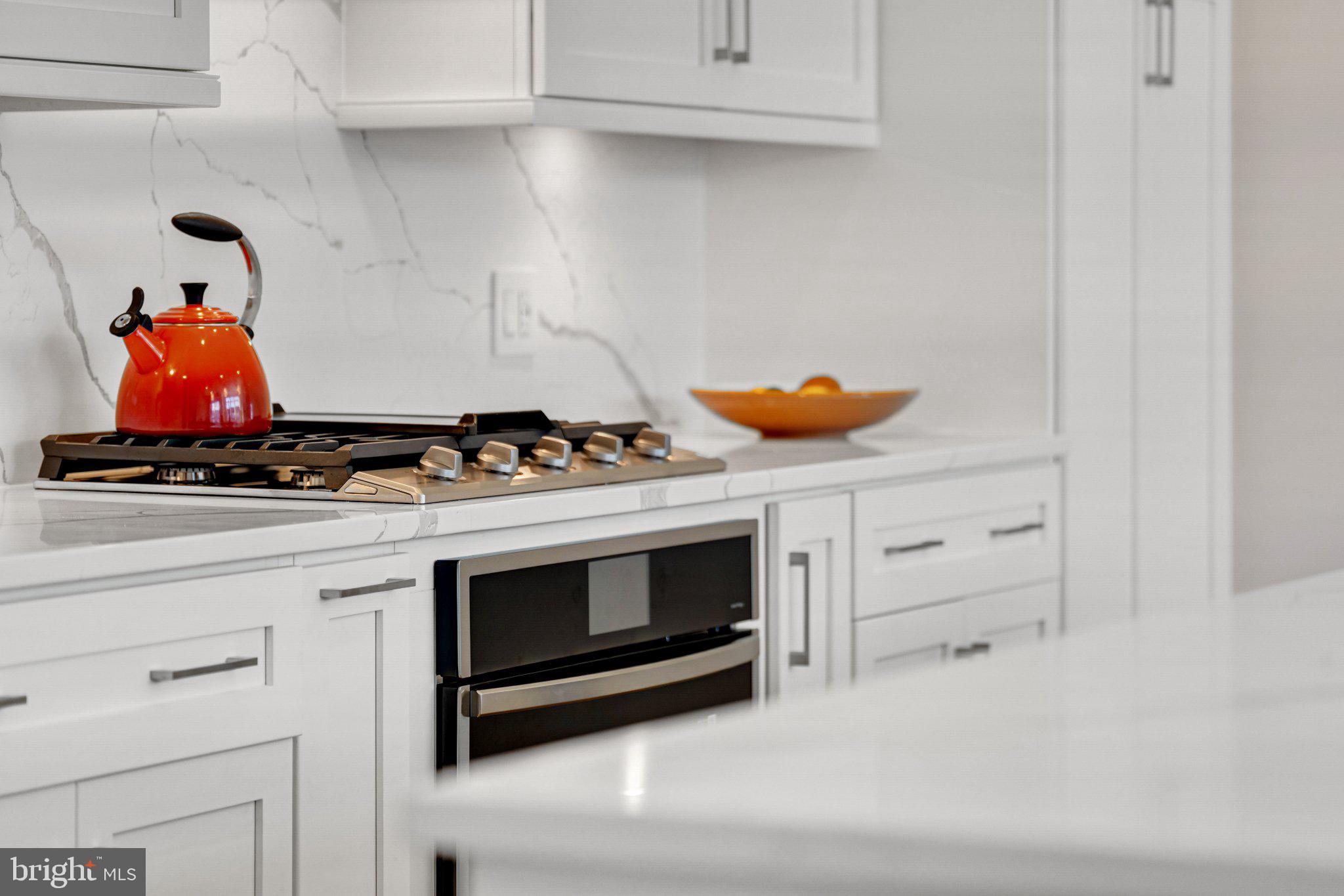 BIRCHWOOD AT BRAMBLETON - Residential