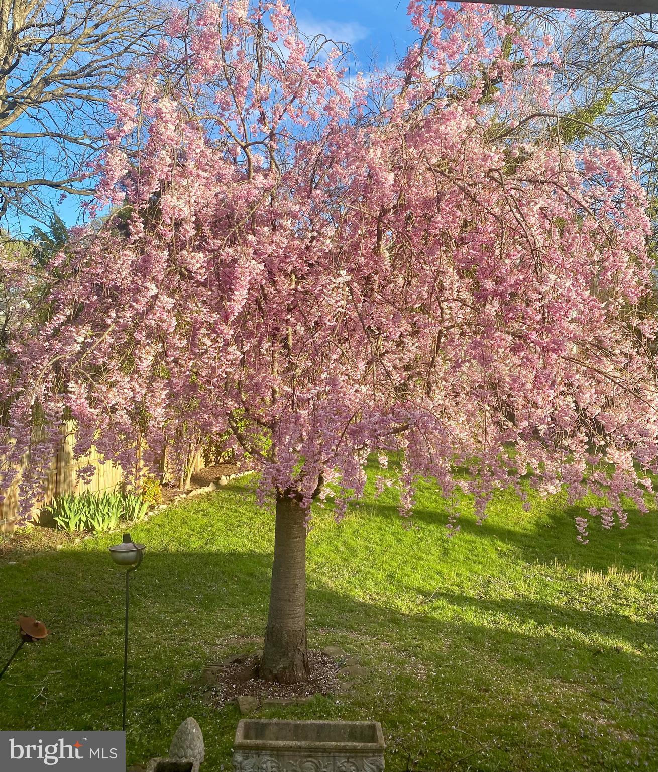 WHEATON OUT RES. (2) - Residential