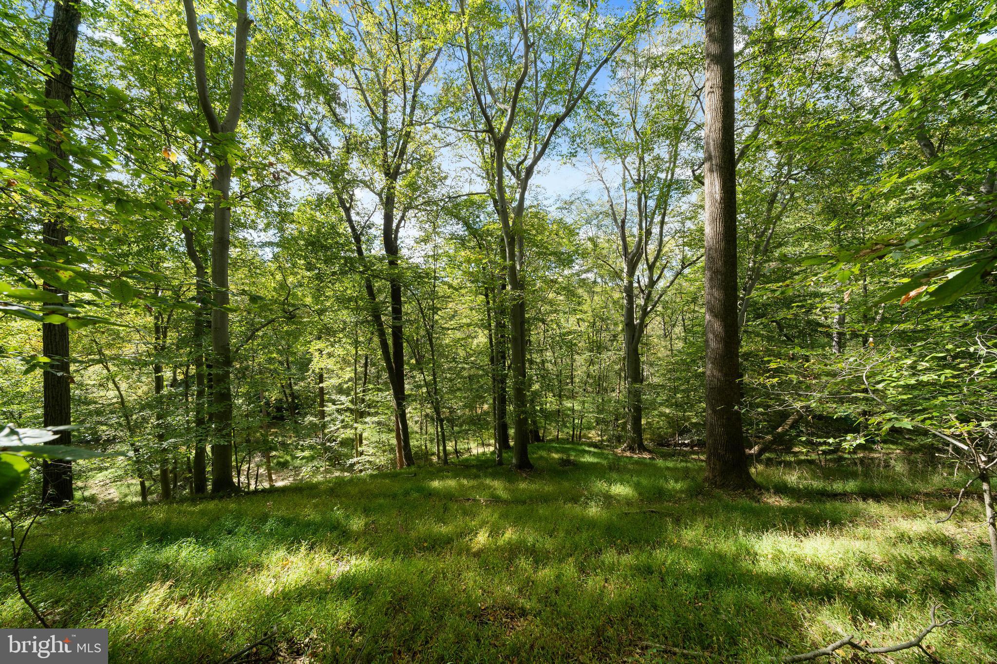 947 WESTERN RUN ROAD