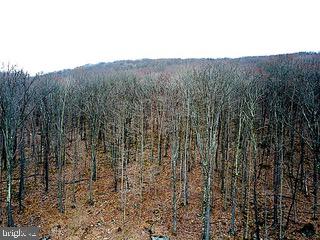 UNRESTRICTED RAW LAND, DIRECTLY BORDERS STATE LAND (OVER 2000 ACS - MD DEPT OF NATURAL RESOURCES), FULLY WOODED & MARKETABLE TIMBER (RECENT TIMBER EVALUATED BETWEEN $100K-120K IN 2024), TROPHY BUCK HUNTING (INCLUDES CUSTOM BUILT HUNTING BLIND), SHORT DRIVE TO DEEP CREEK LAKE, STONES THROW TO YOUGHIOGHENY RIVER, OVERLOOKS DEEP CREEK LAKE VALLEY.
