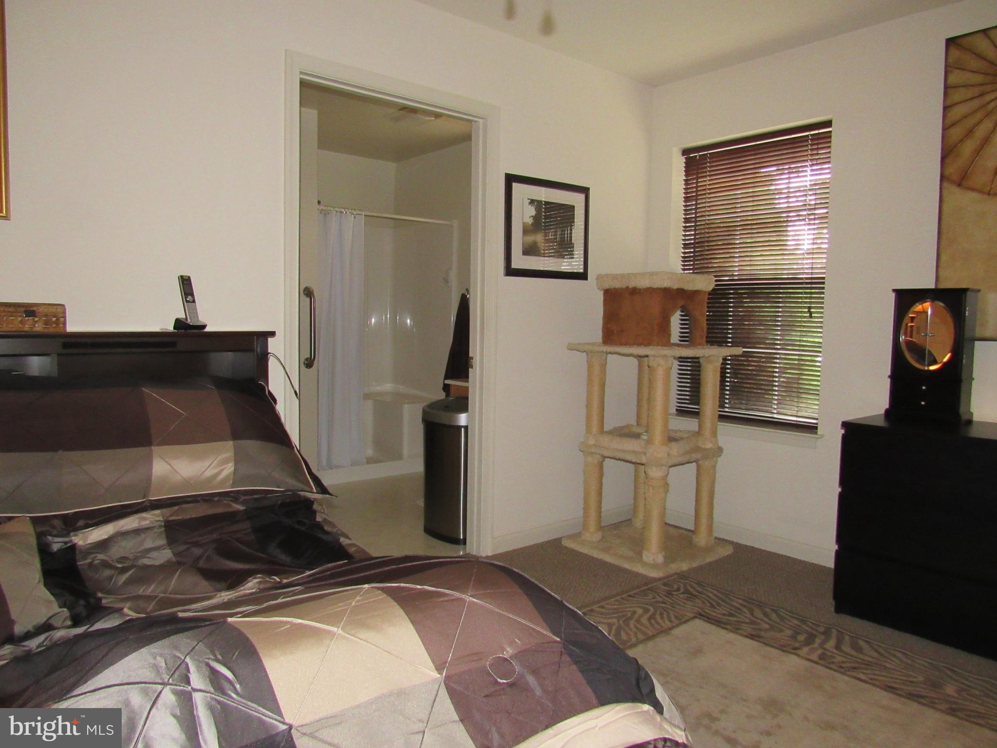 EQUINE MEADOWS - Residential