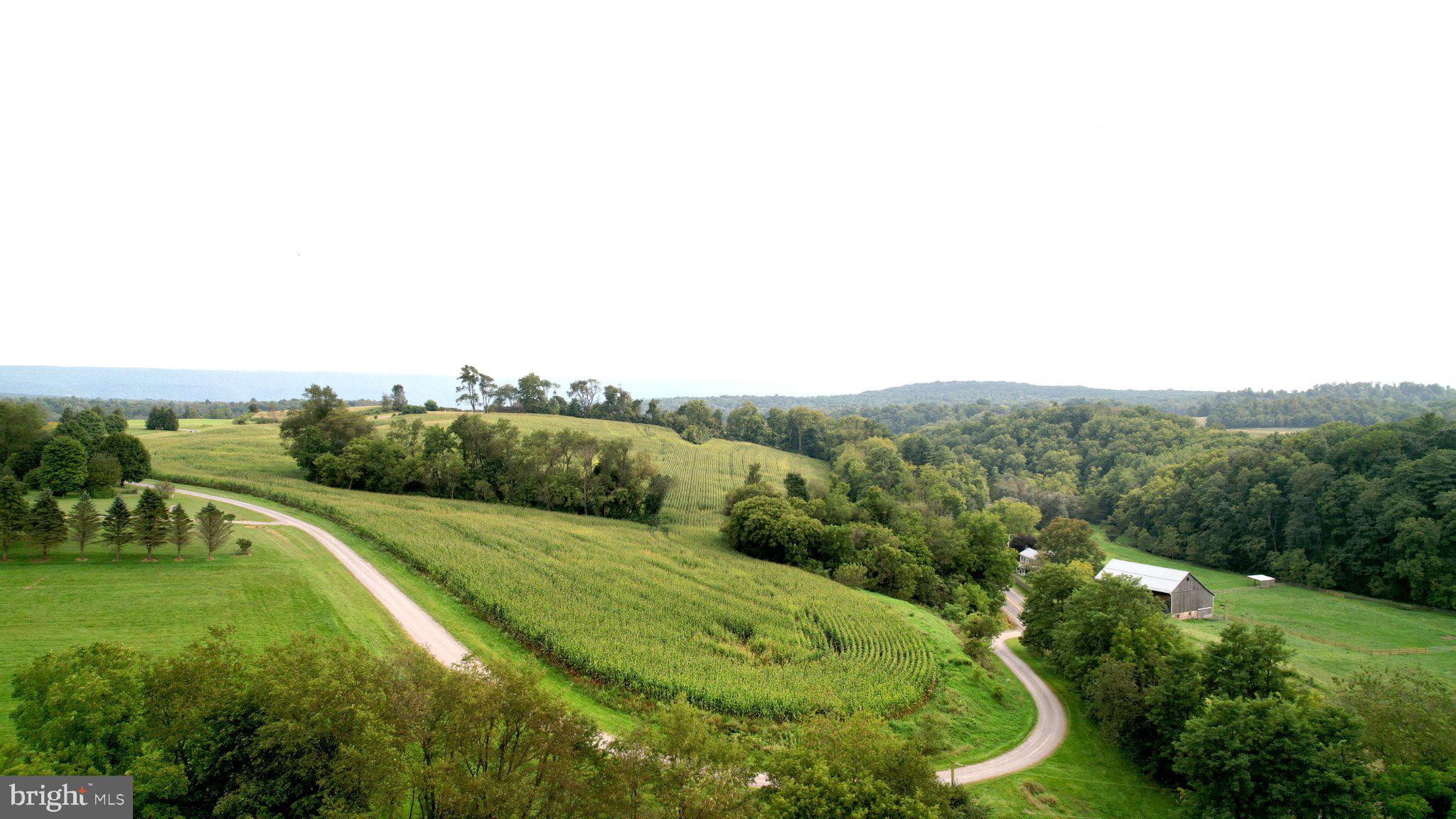 Lot 4 CLOVER HILL LANE
