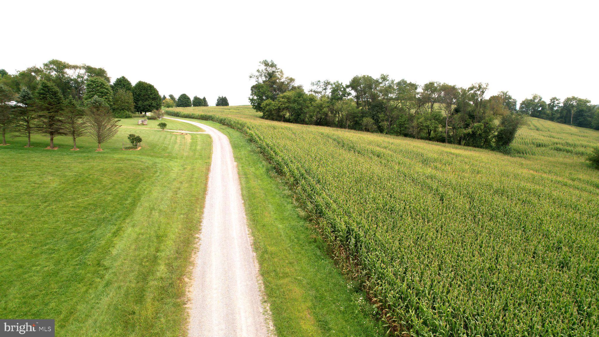 Lot 4 CLOVER HILL LANE