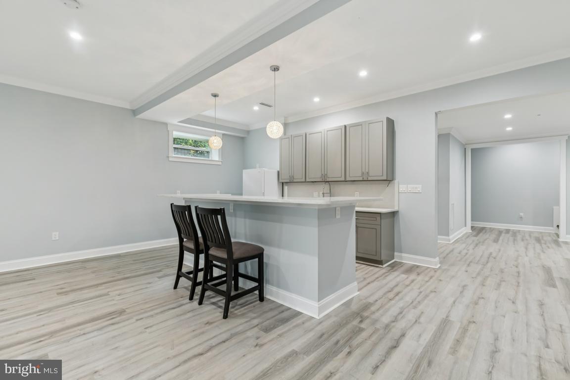 LINCOLNIA PARK - Residential