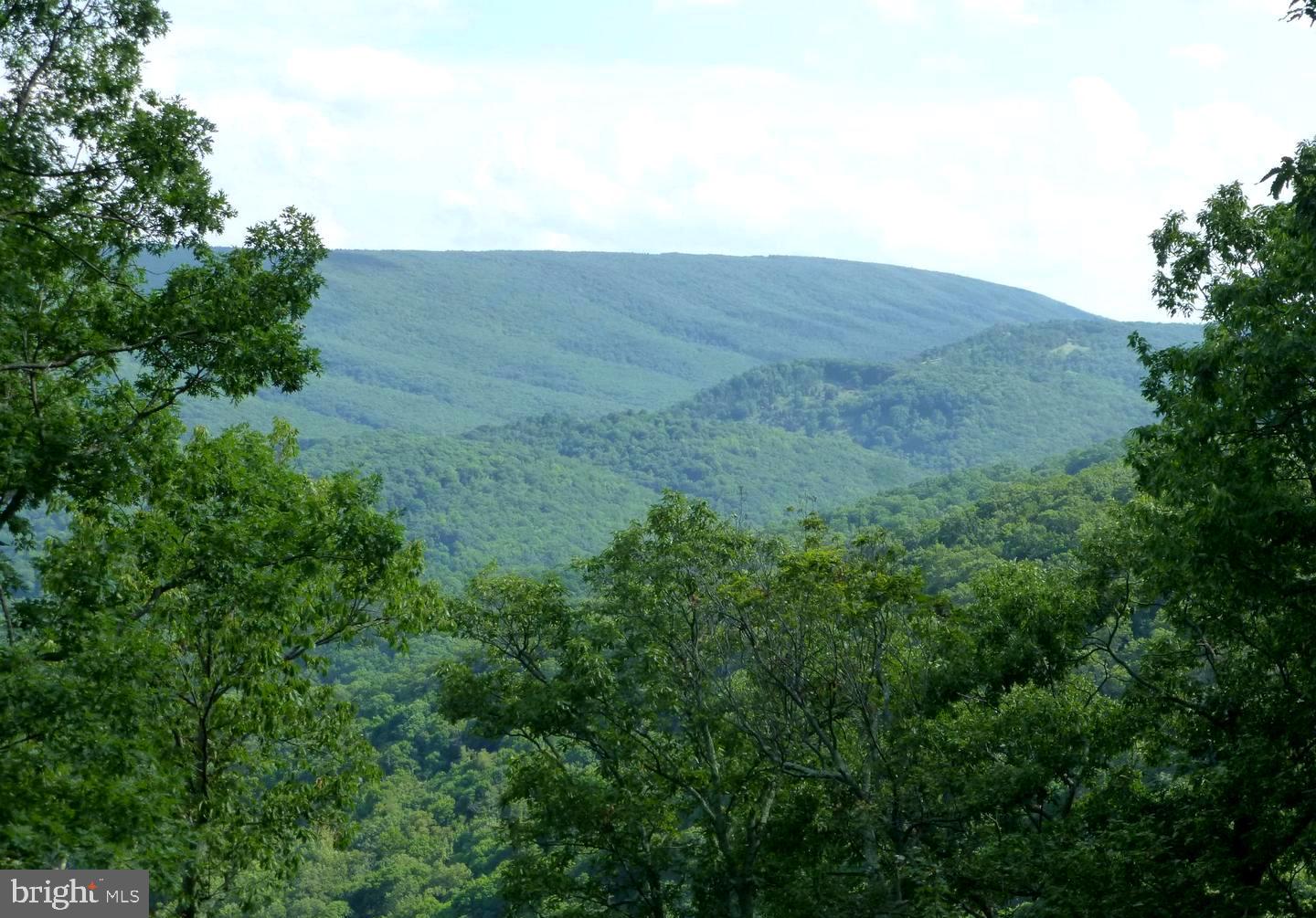 THE PRESERVE AT NEW CREEK LAKE - Residential