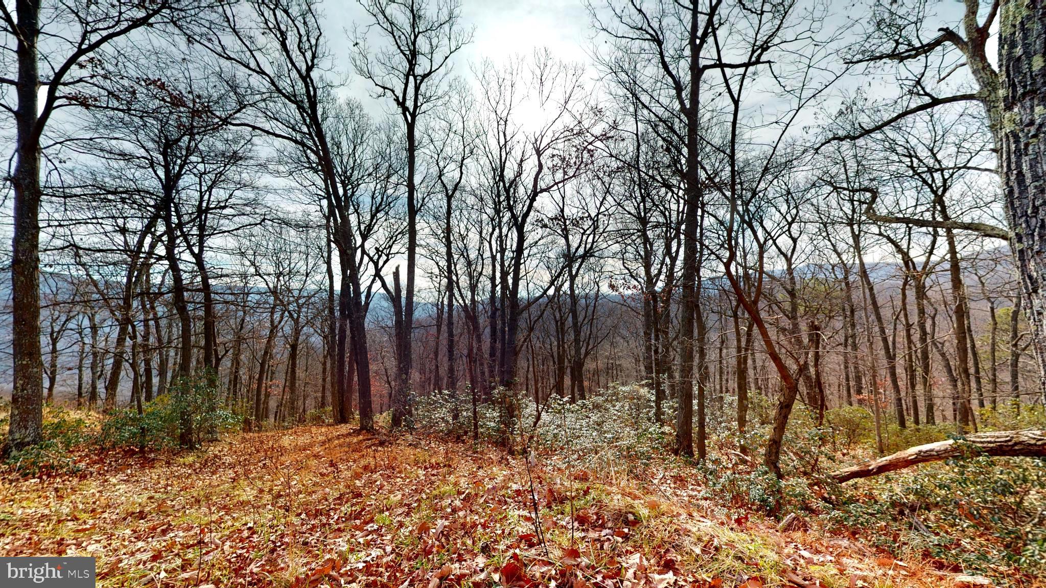 THE PRESERVE AT NEW CREEK LAKE - Residential