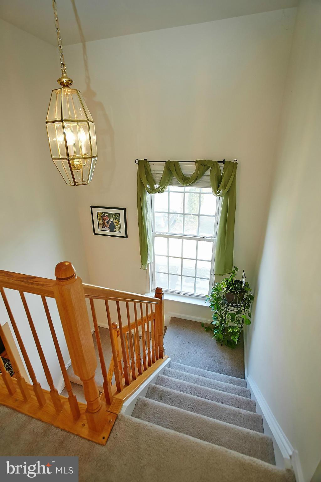 GROVE AT HUNTLEY MEADOWS - Residential