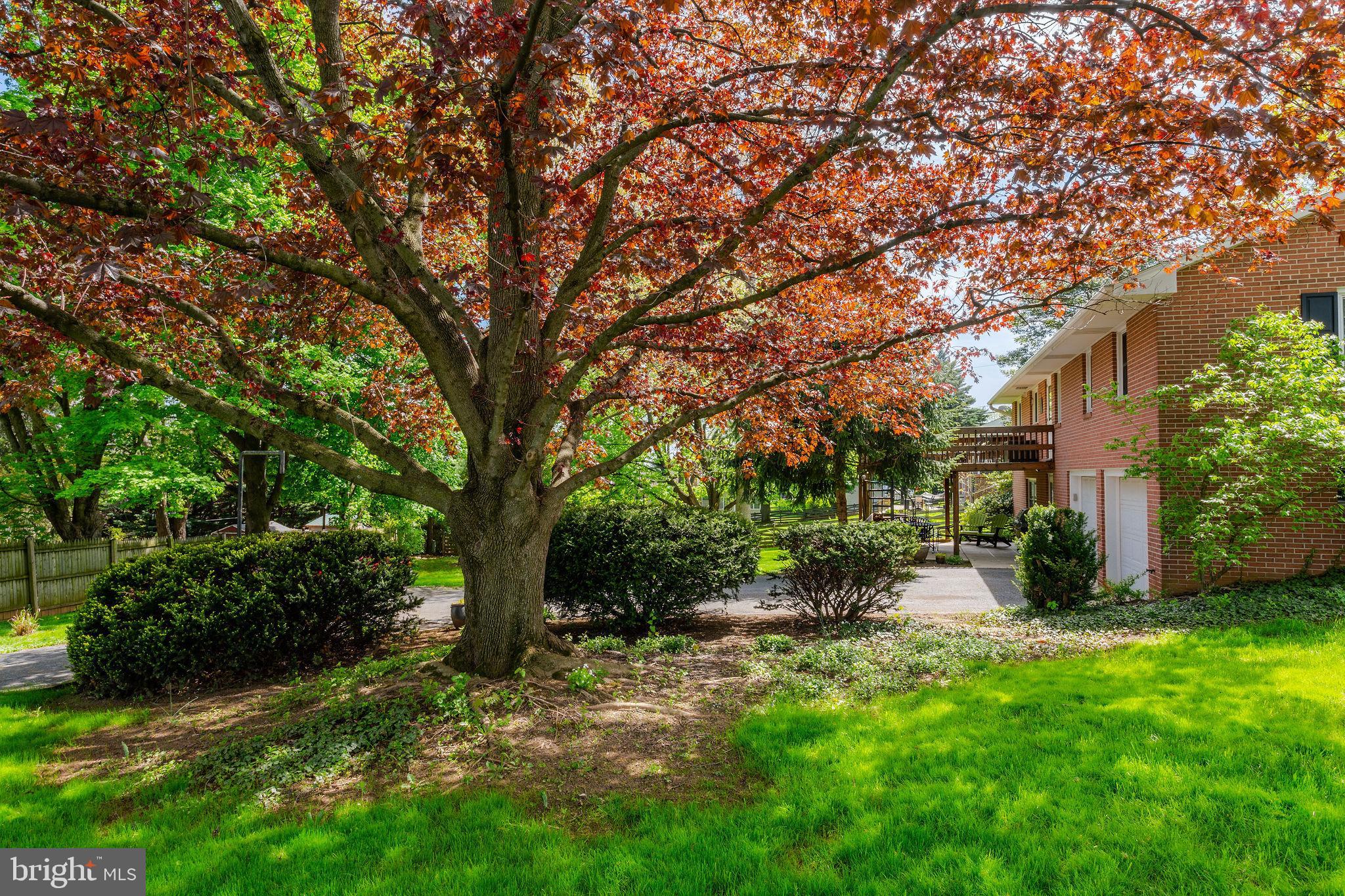 ASHLEY ACRES - Residential