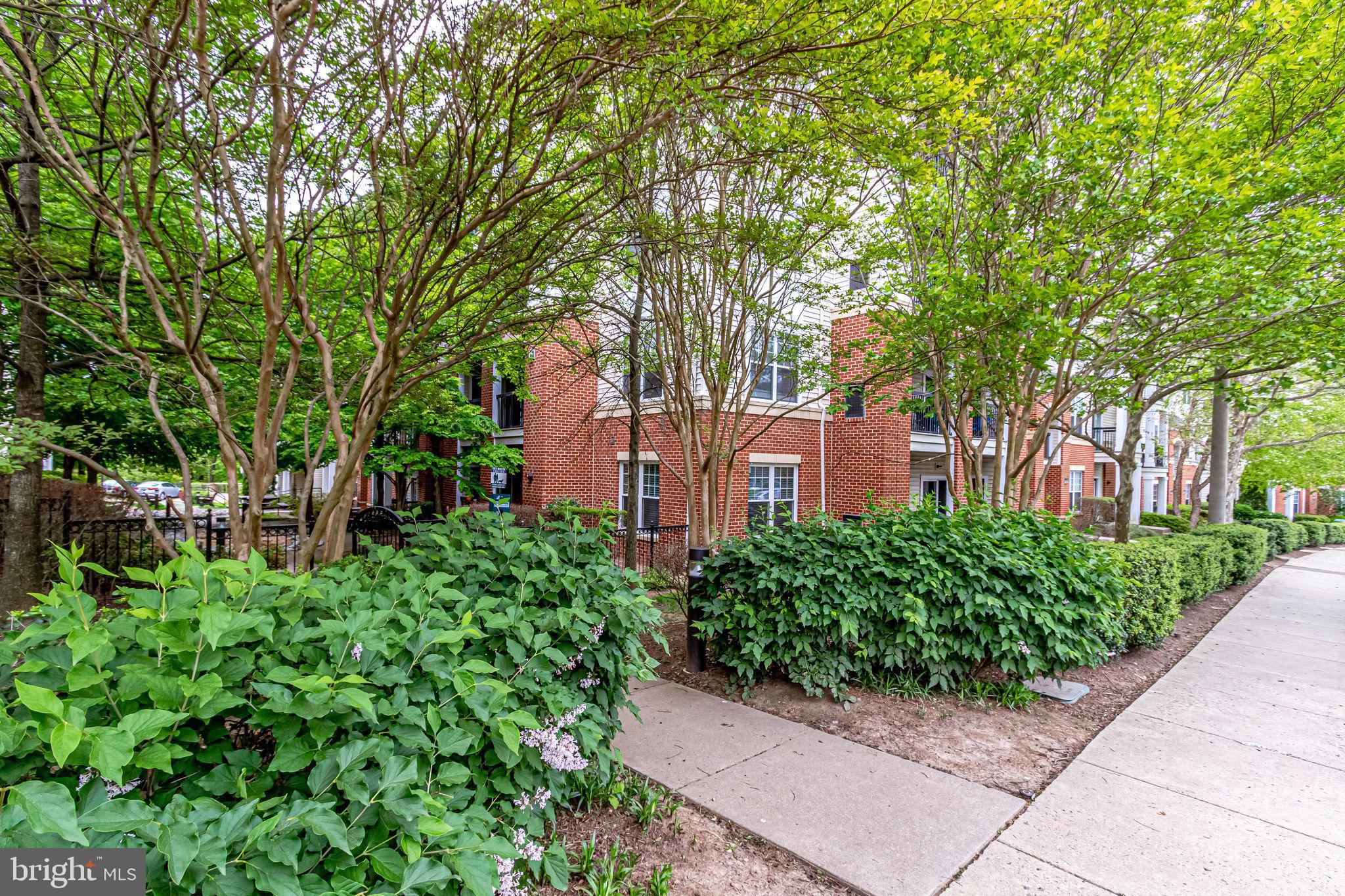 FAIRFAX RIDGE - Residential