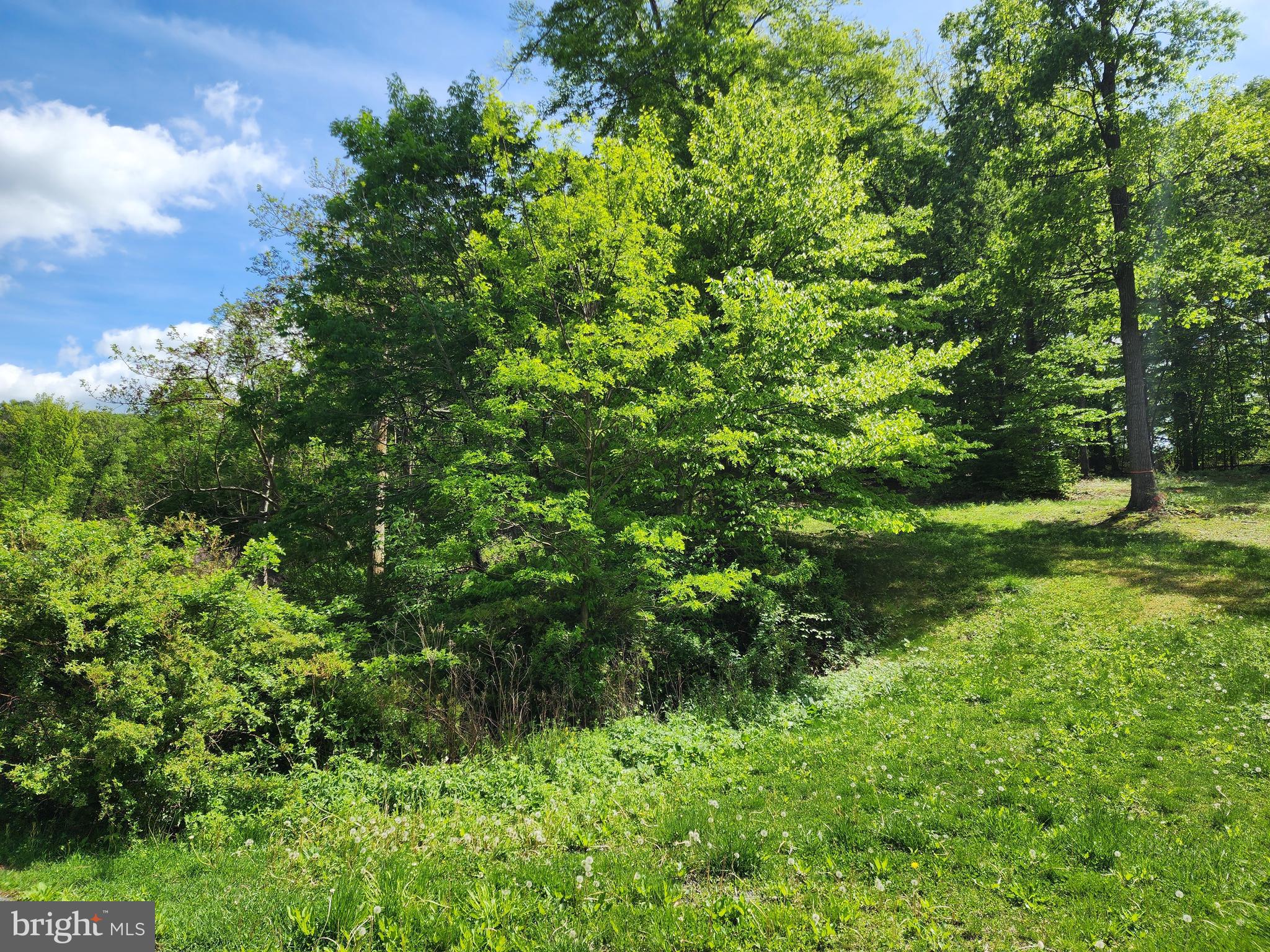 Lot 84 MOCKINGBIRD DRIVE