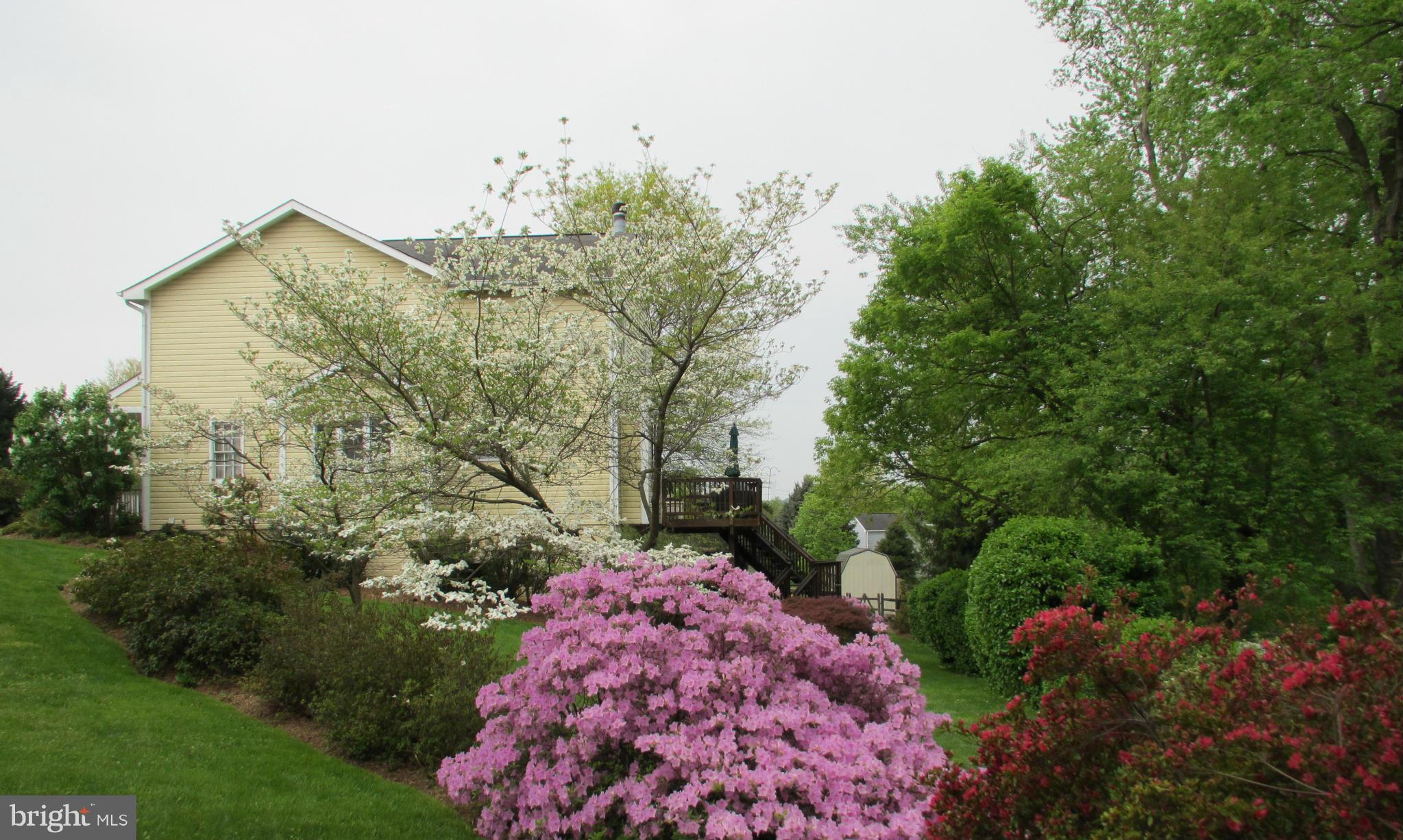 POTOMAC VILLAGE - Residential