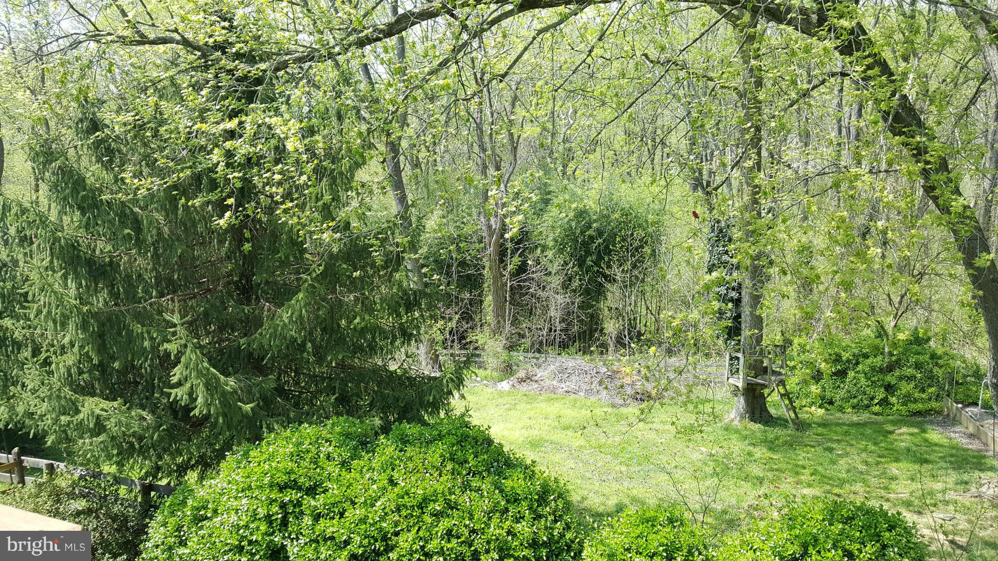 POTOMAC VILLAGE - Residential