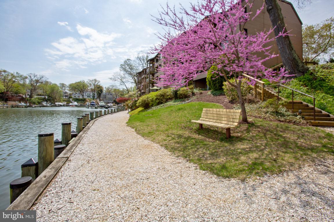 PRESIDENT POINT - Residential