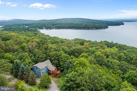 723 PINNACLE DR SWANTON MD 21561