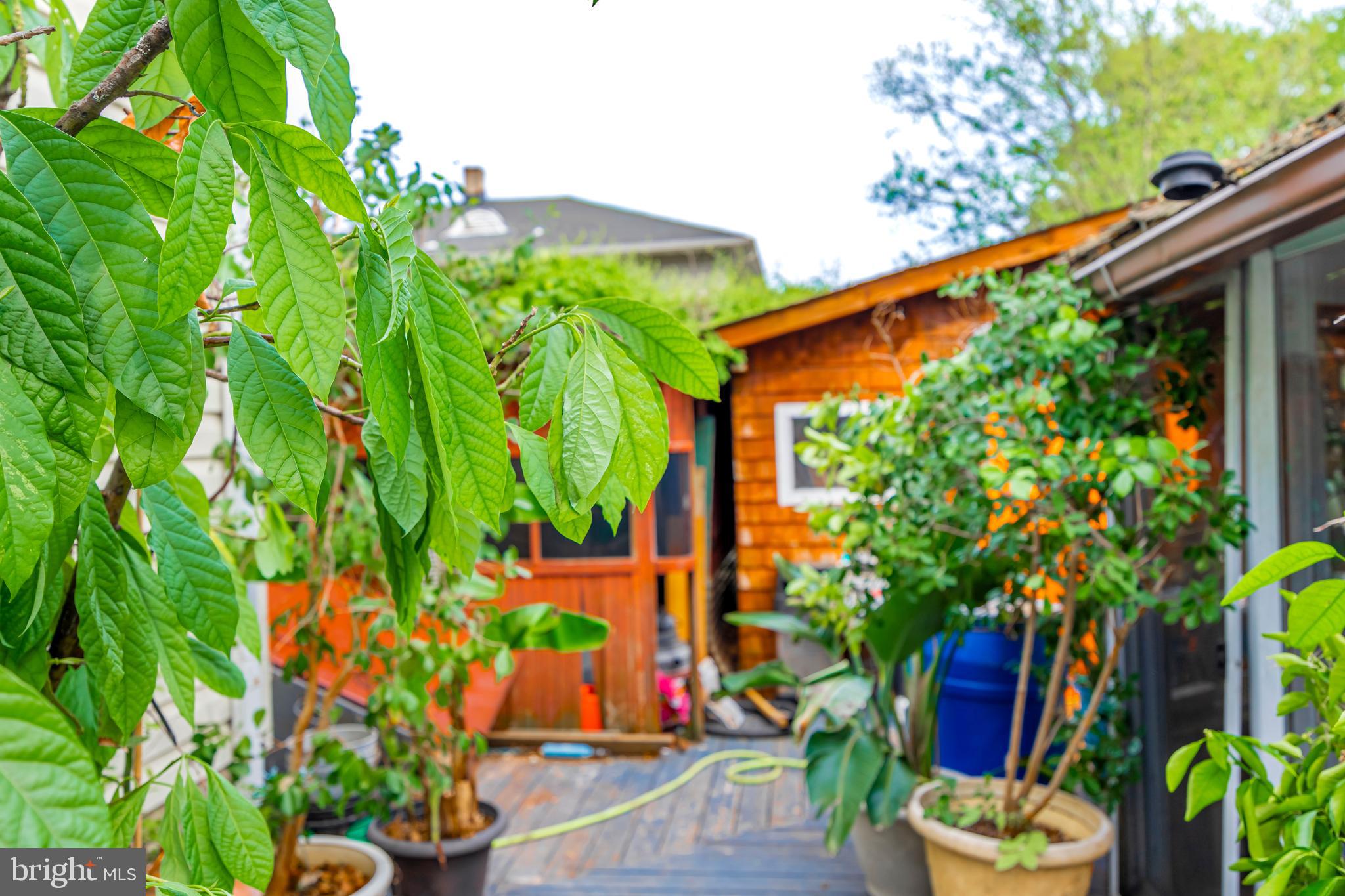 LINDEN HEIGHTS - Residential