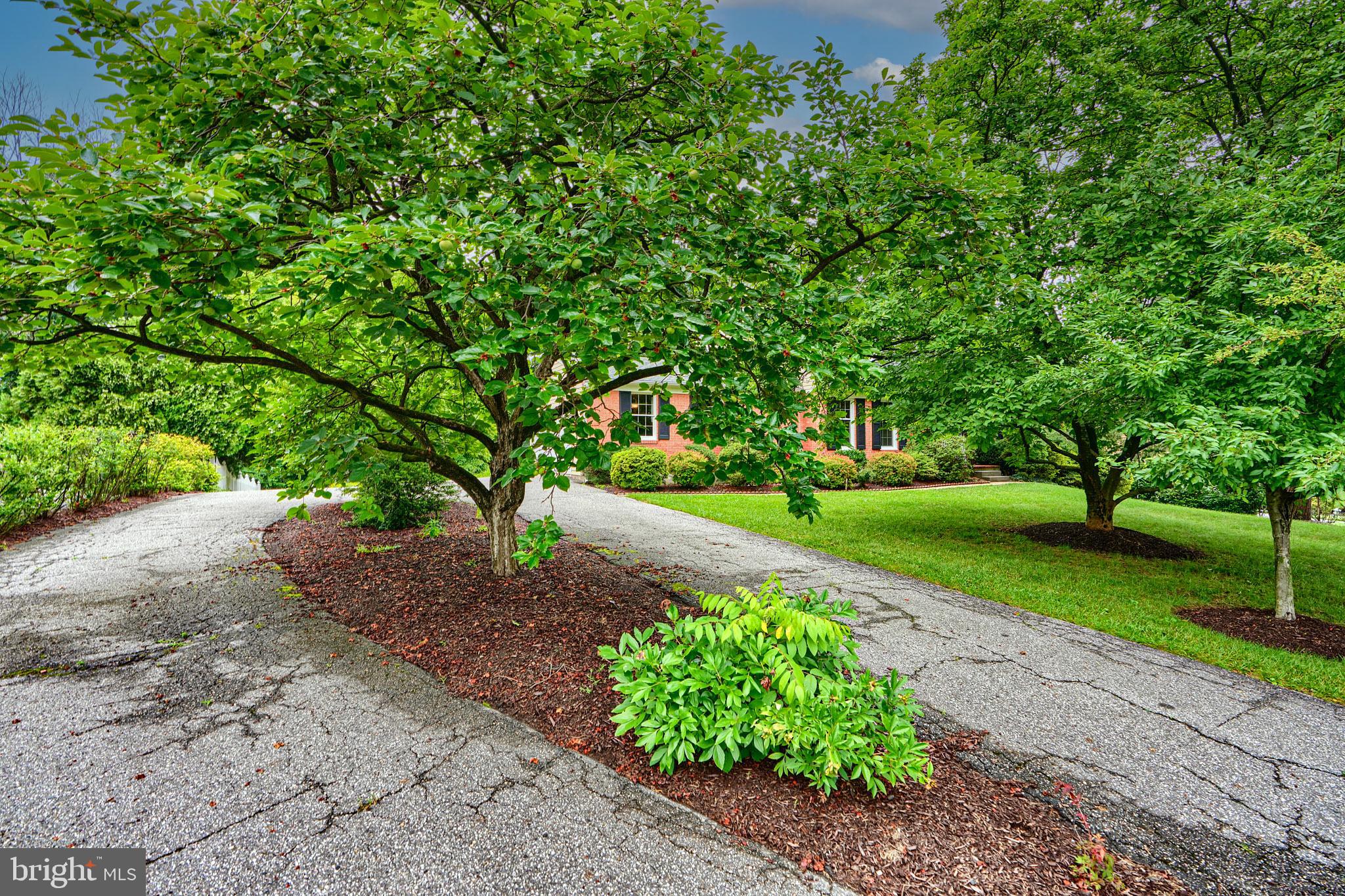 TOWSON - Residential