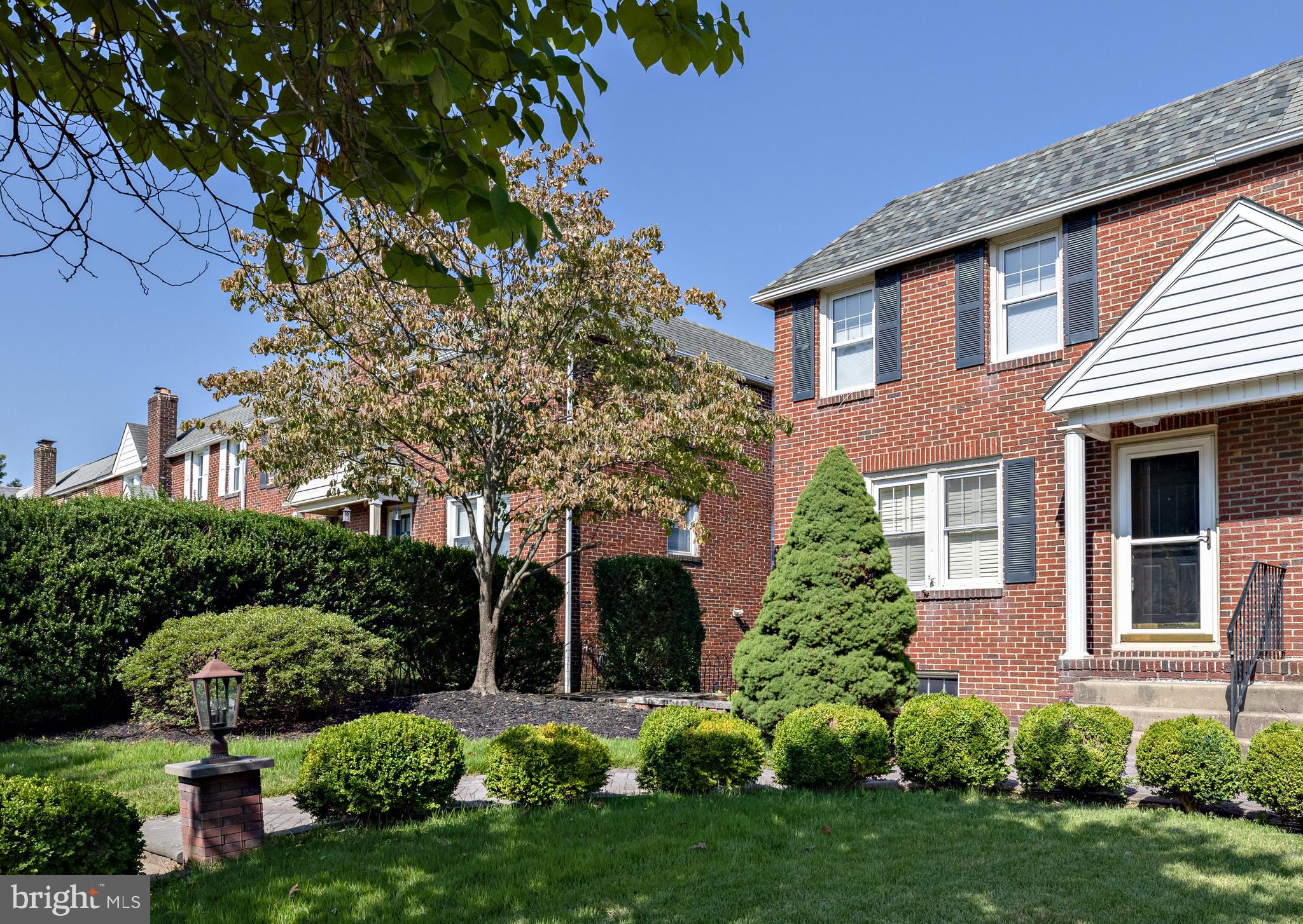 11 DOWLING AVENUE