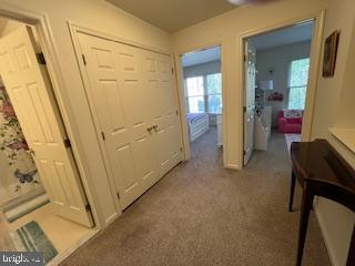 CHADWICK PL - Residential