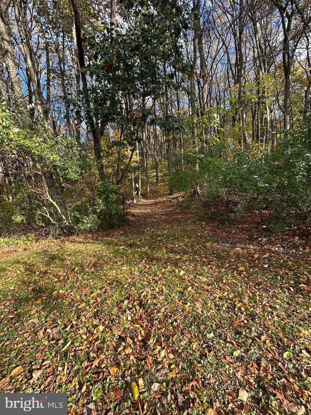 Photo of 0 Bertolet School Road, SPRING CITY, PA 19475 (MLS # PACT2116262)