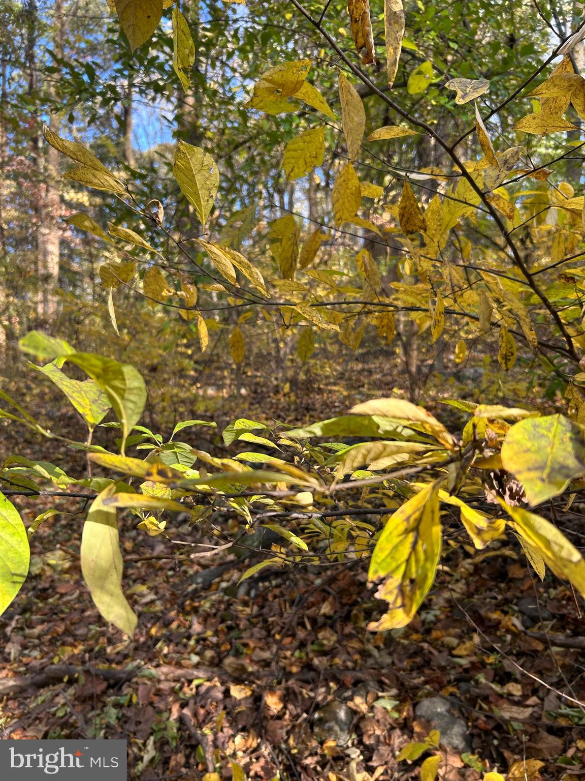 0 BERTOLET SCHOOL ROAD