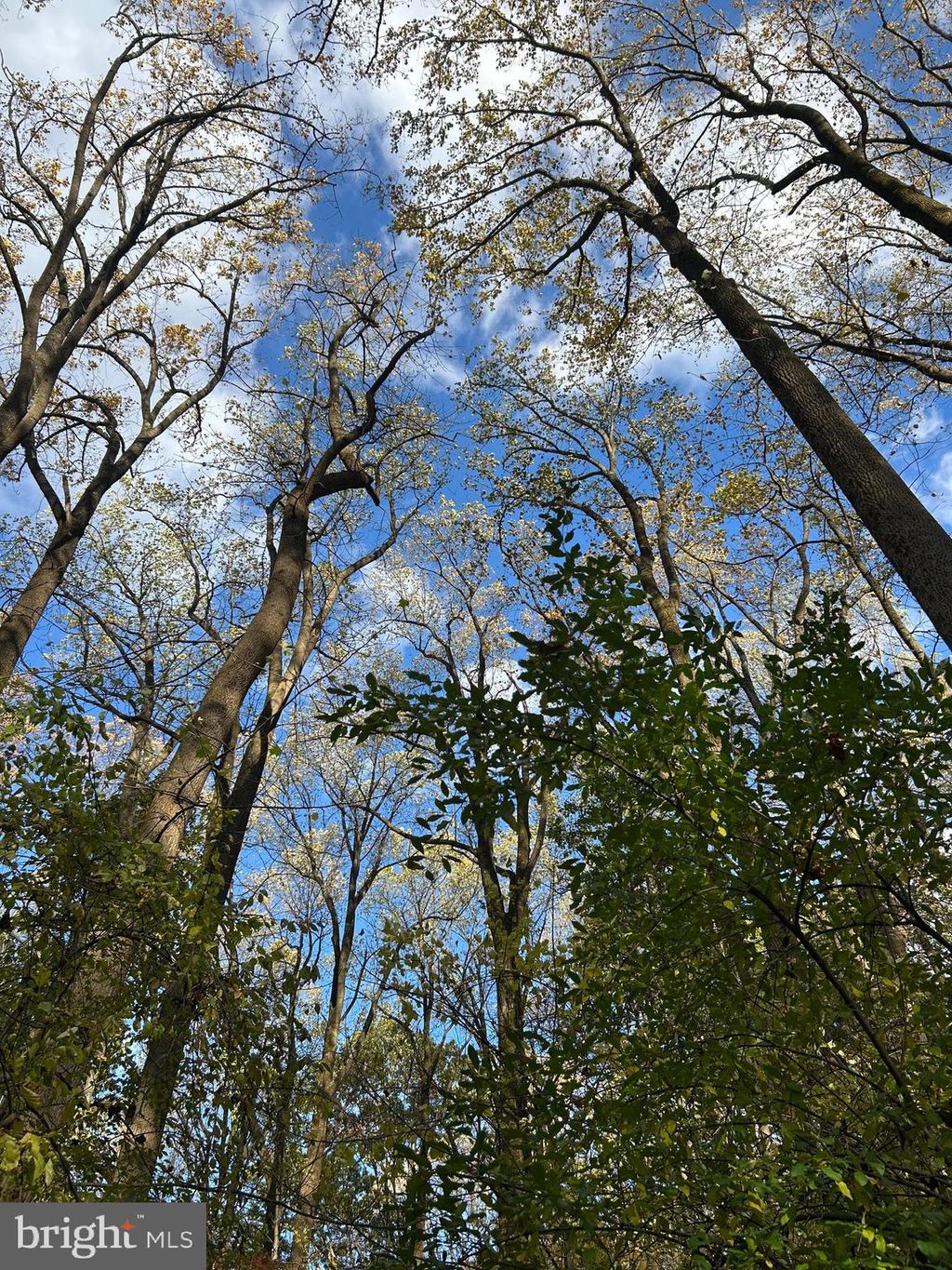 Photo of 0 Bertolet School Road, SPRING CITY, PA 19475 (MLS # PACT2116262)