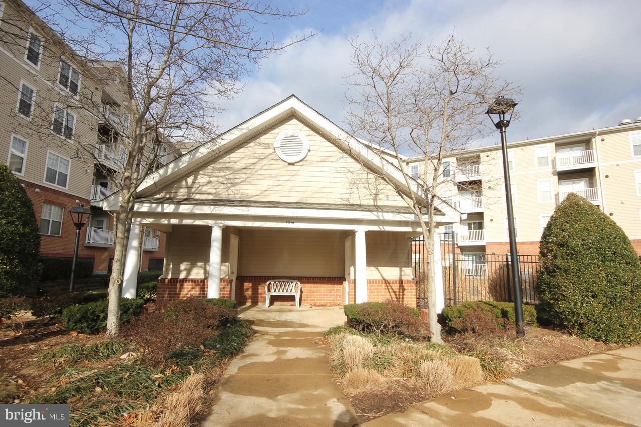 THE PAVILION - Residential Lease