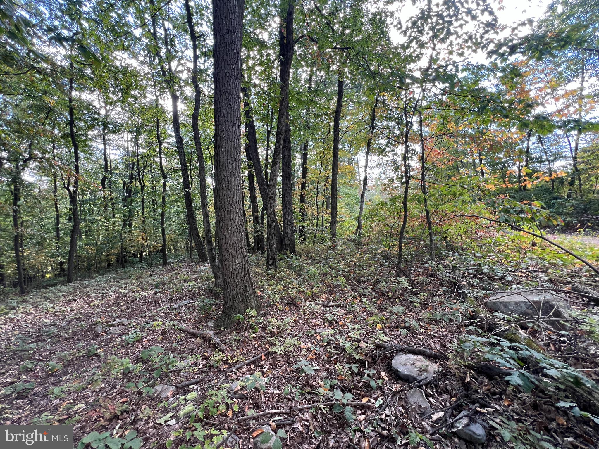 BREEZEWOOD PARK ASSOCIATION - Land
