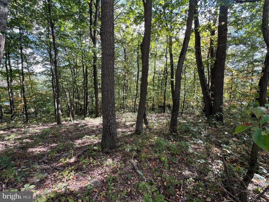 1 Acre lot close to Buchanan State Forest. Would make a great location for a hunting camp or getaway located only minutes from Pike 2 Bike, I-70, and the PA Turnpike.