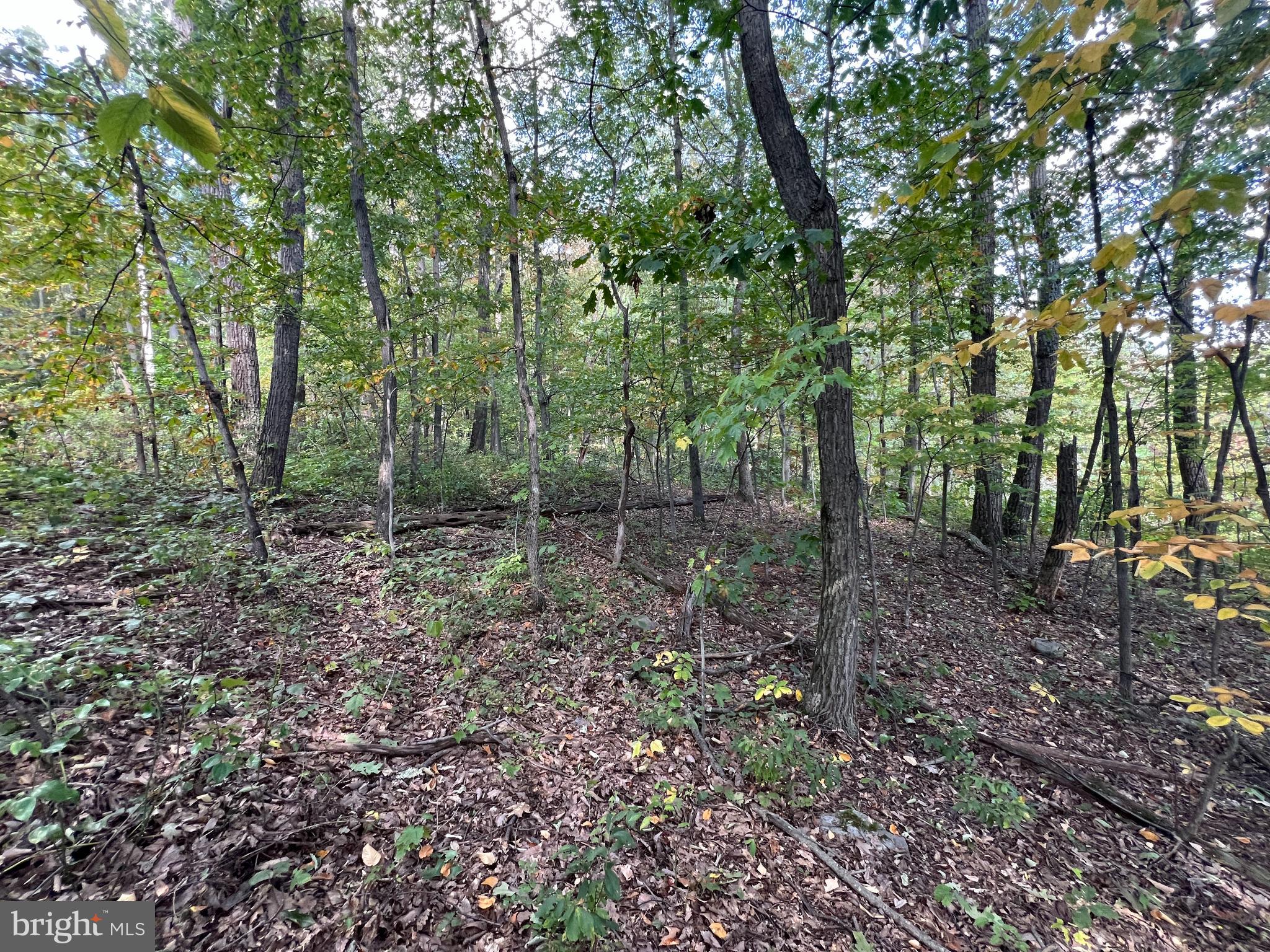BREEZEWOOD PARK ASSOCIATION - Land