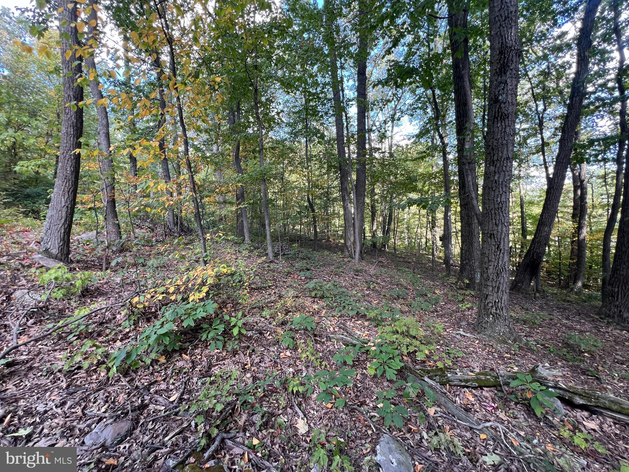 Lot 31 WOODLAWN DRIVE