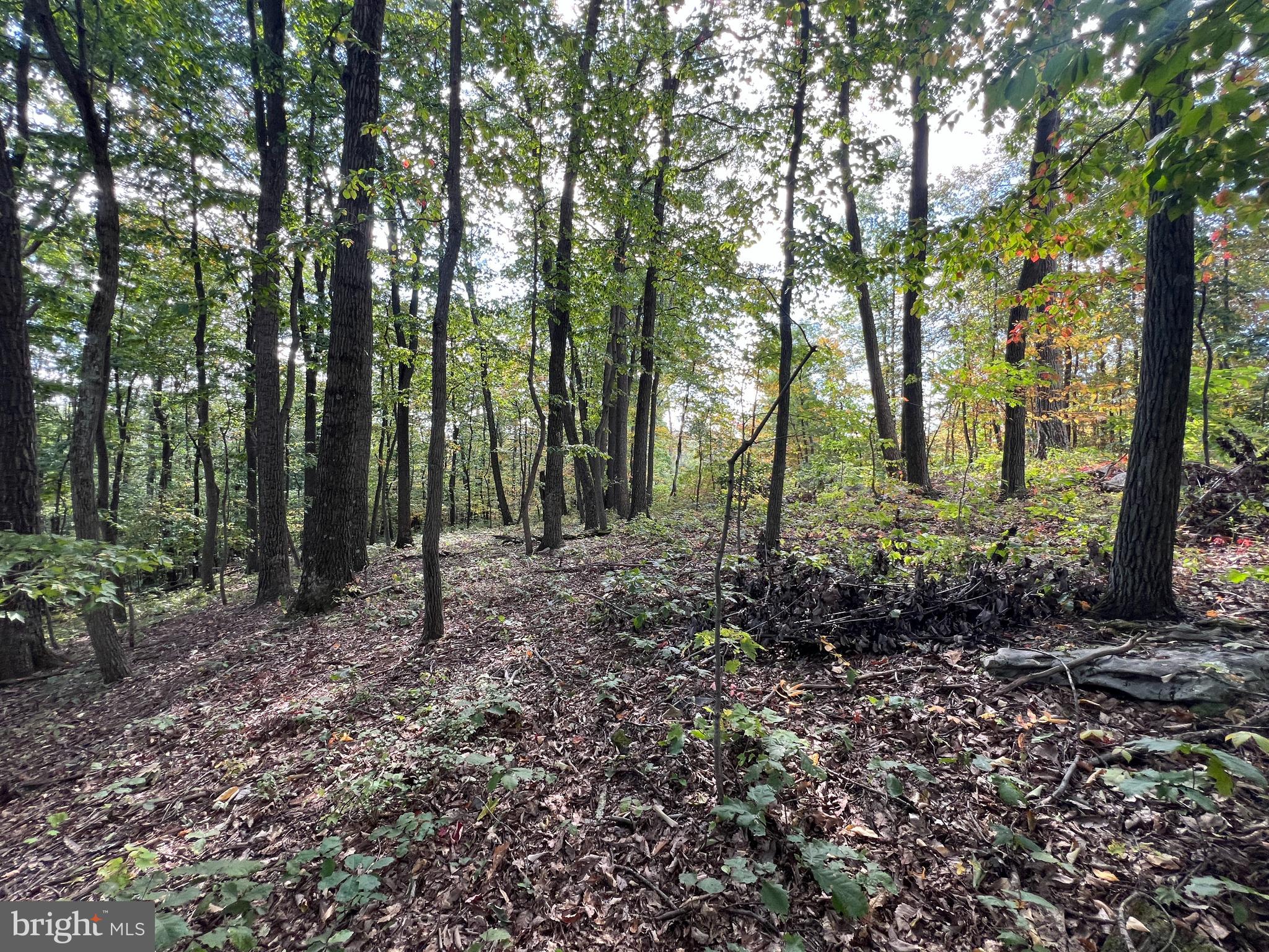 BREEZEWOOD PARK ASSOCIATION - Land