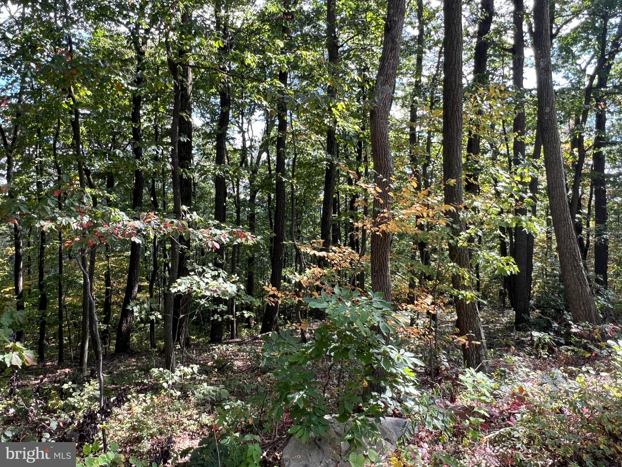 Lot 31 WOODLAWN DRIVE