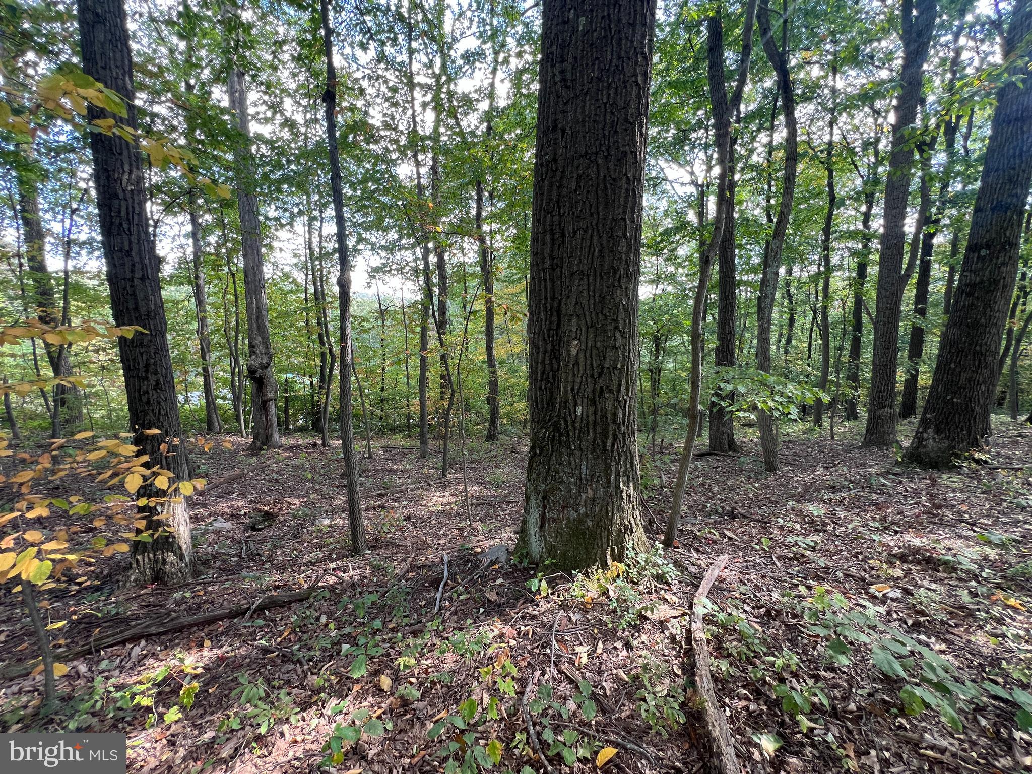 BREEZEWOOD PARK ASSOCIATION - Land