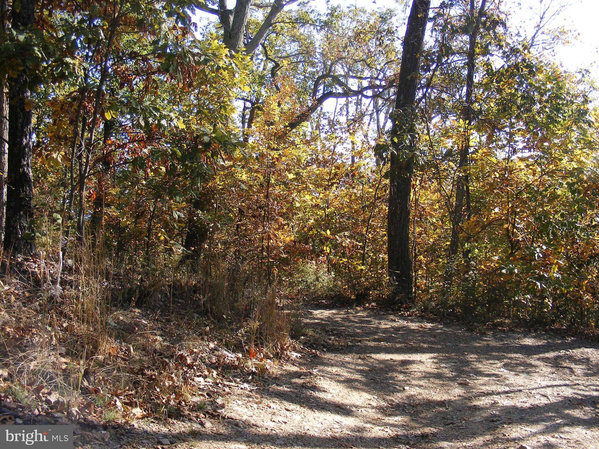 SHAWNEELAND - Residential