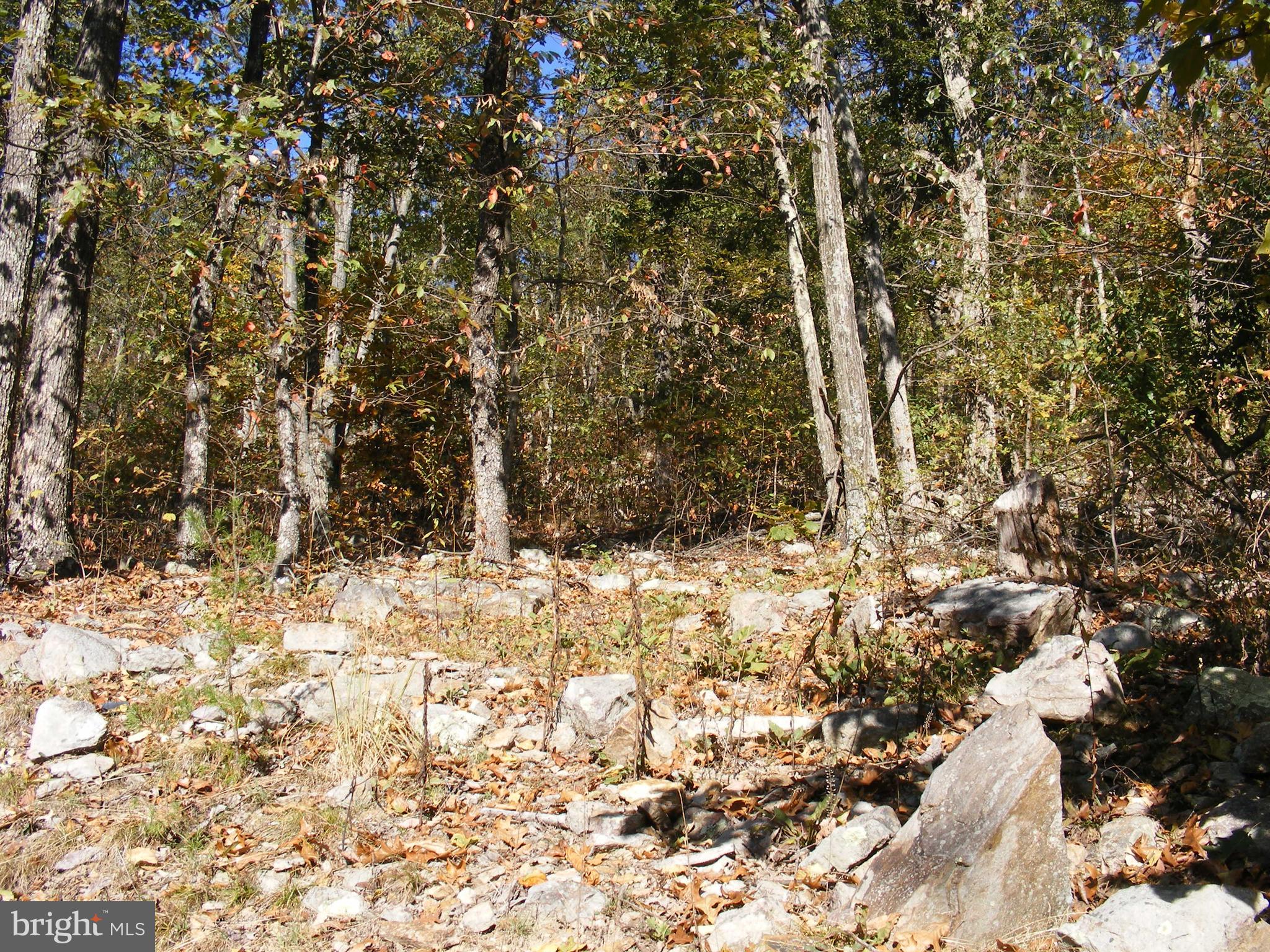 SHAWNEELAND - Residential