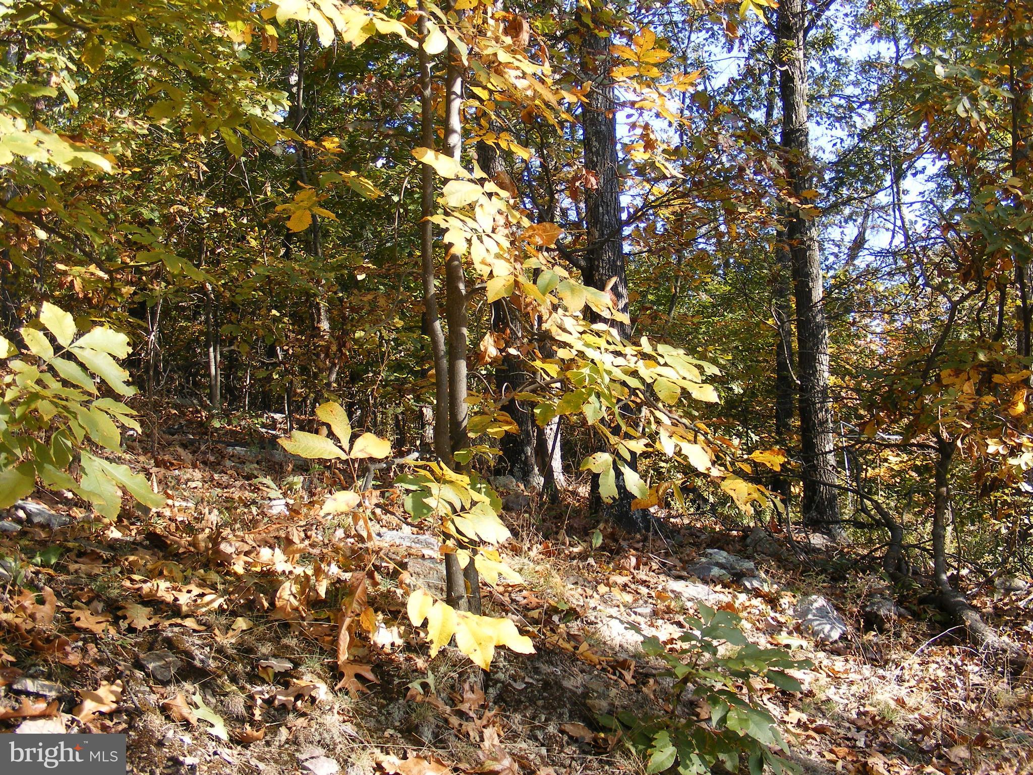 SHAWNEELAND - Residential