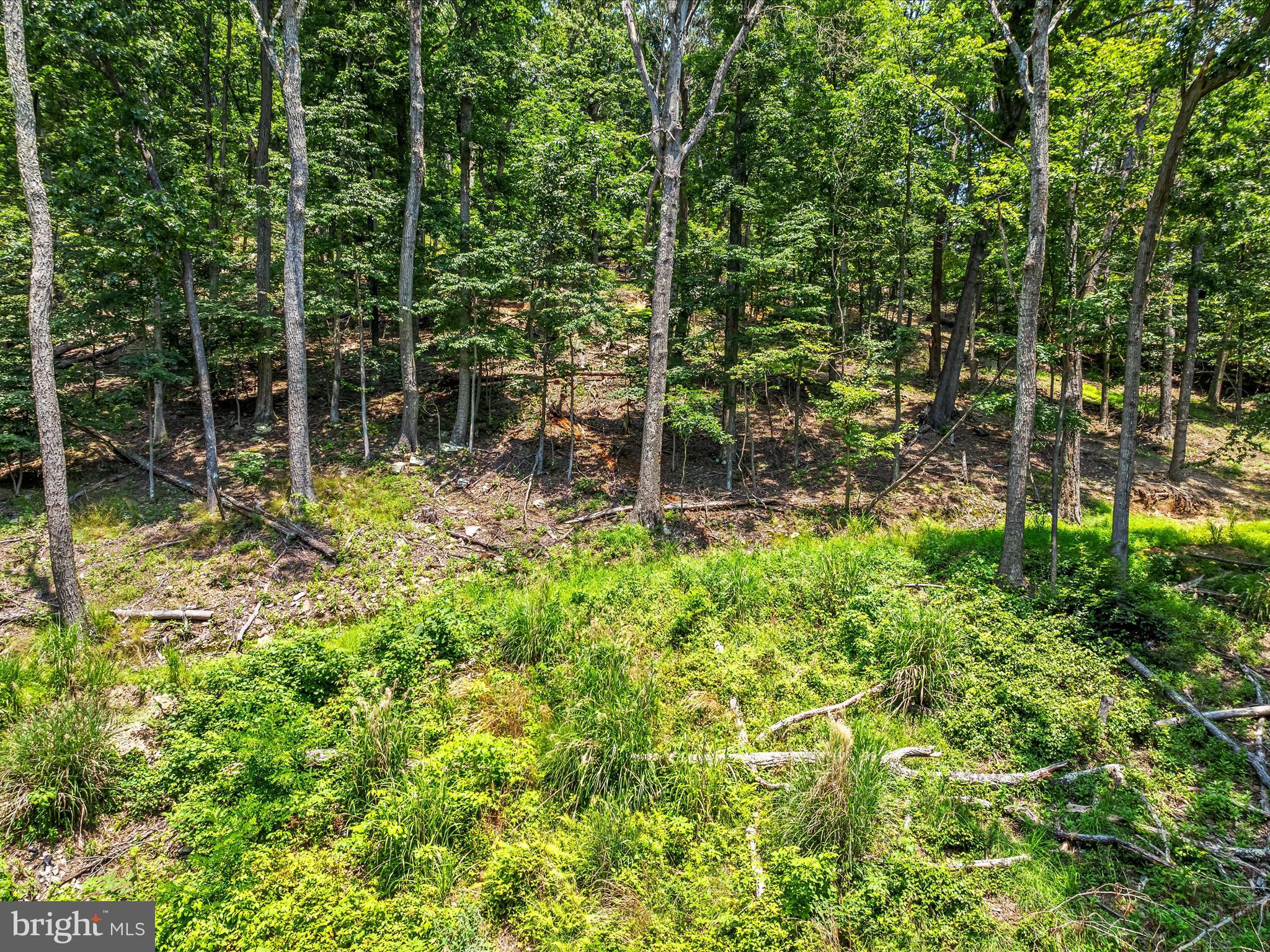 SLEEPY HOLLOW S/D - Land