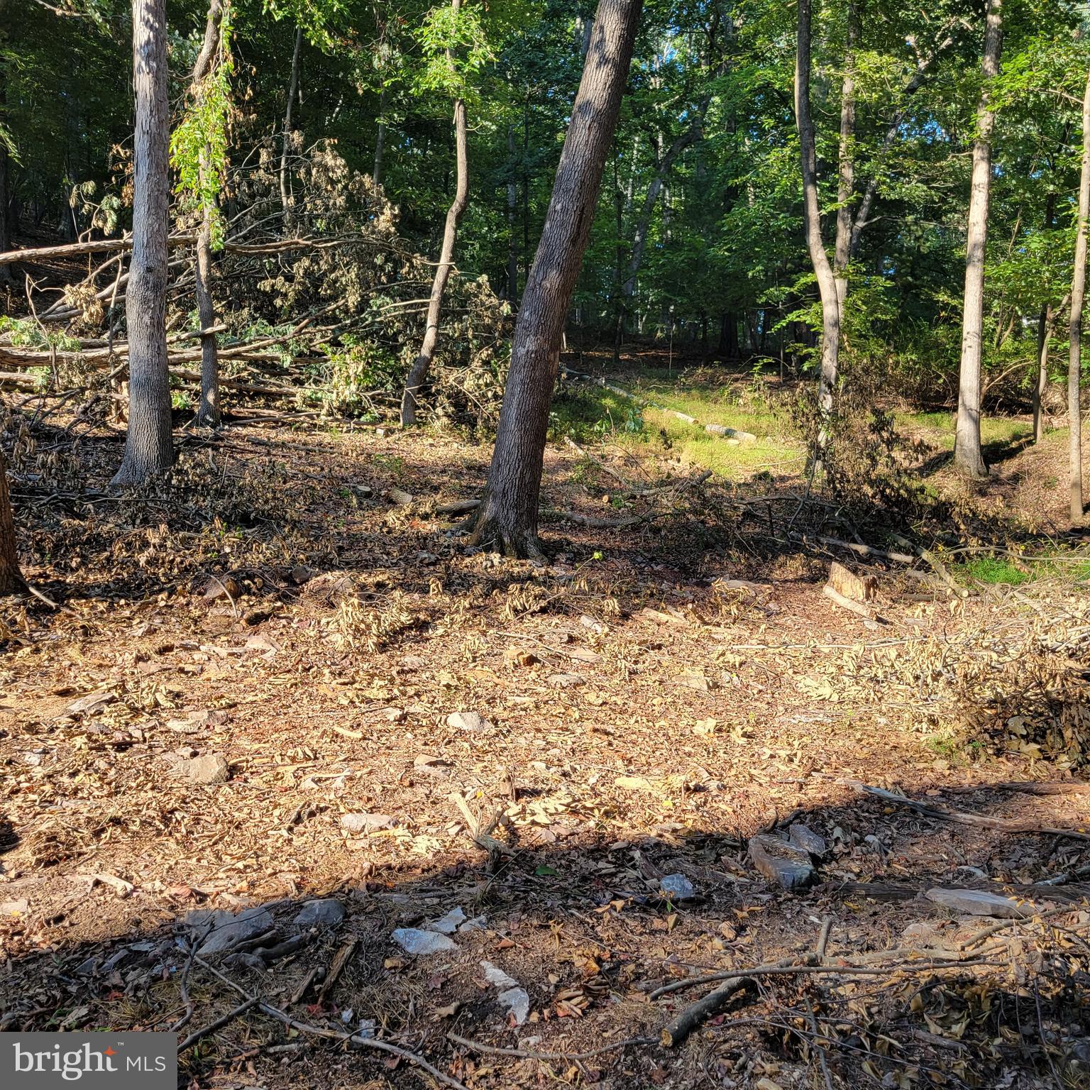 SLEEPY HOLLOW S/D - Land