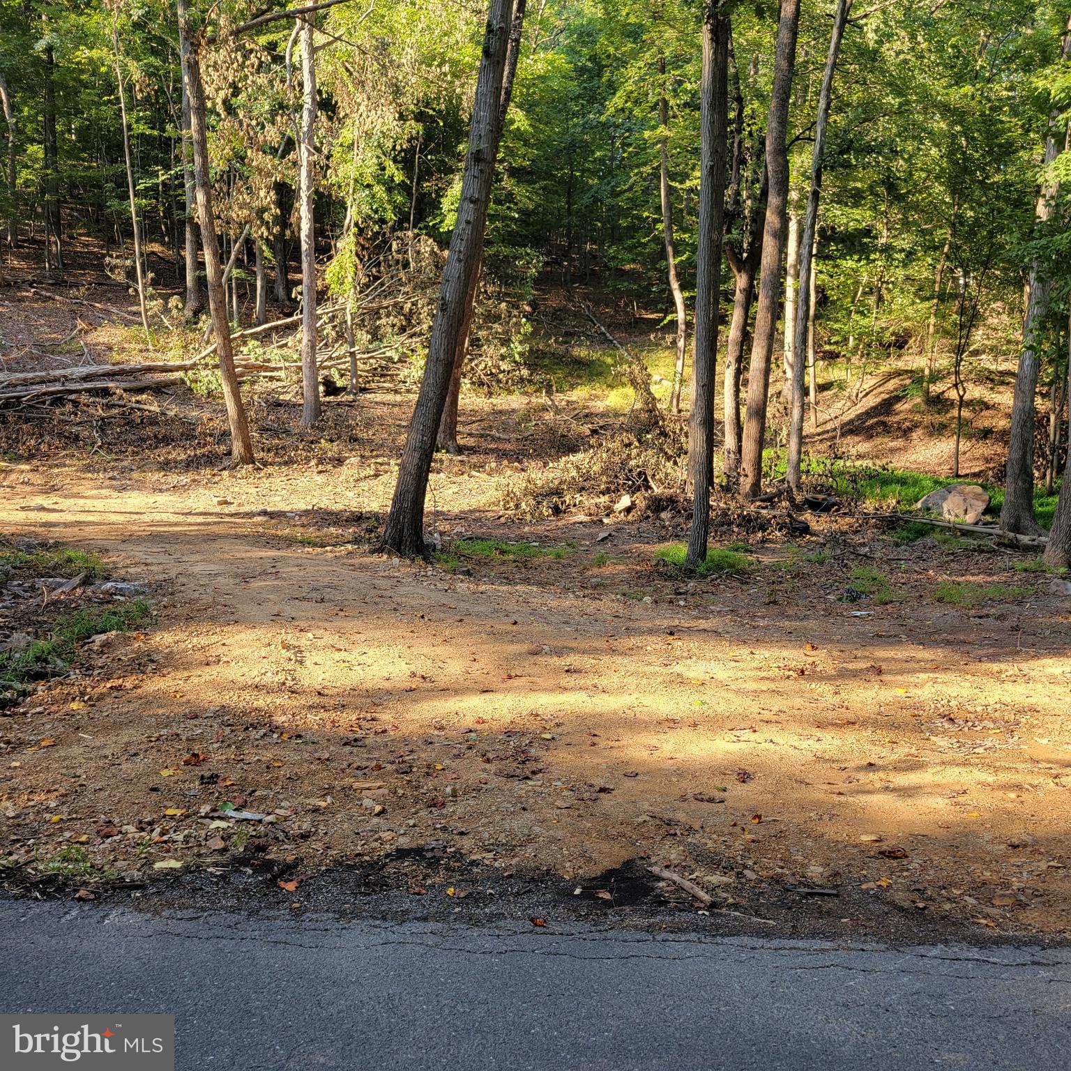 SLEEPY HOLLOW S/D - Land