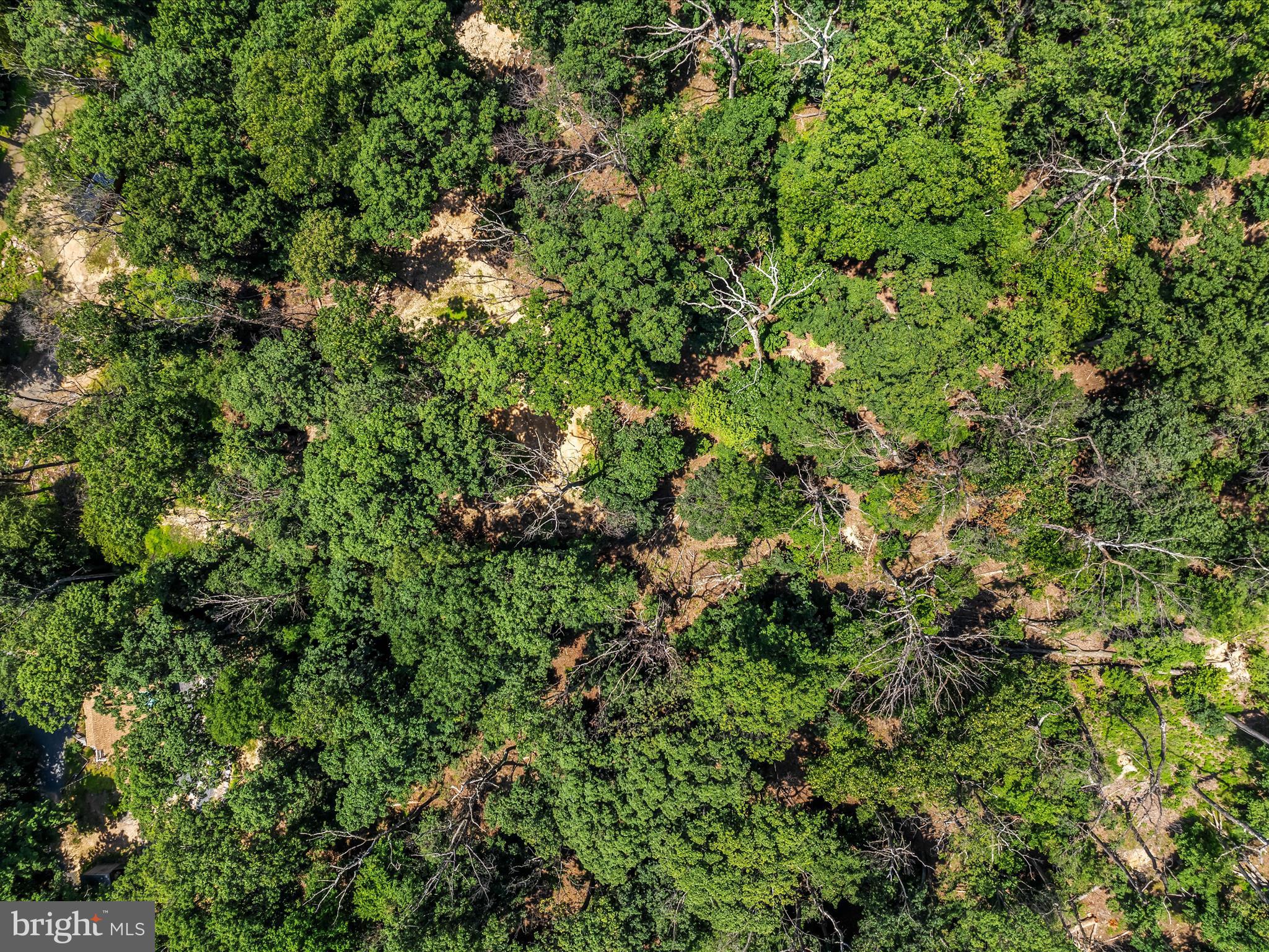 SLEEPY HOLLOW S/D - Land