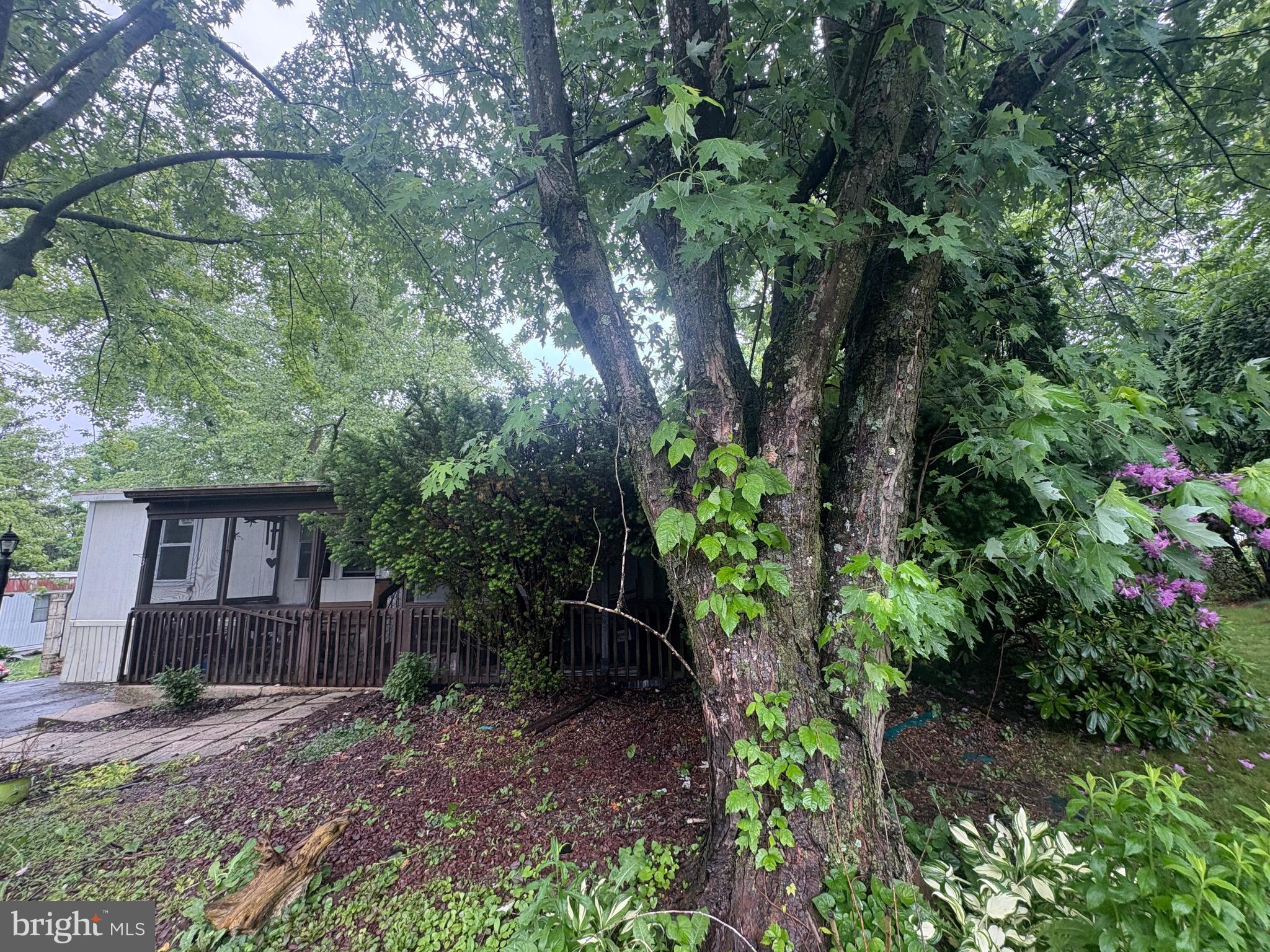 NEWBERRY ESTATES MHP - Residential
