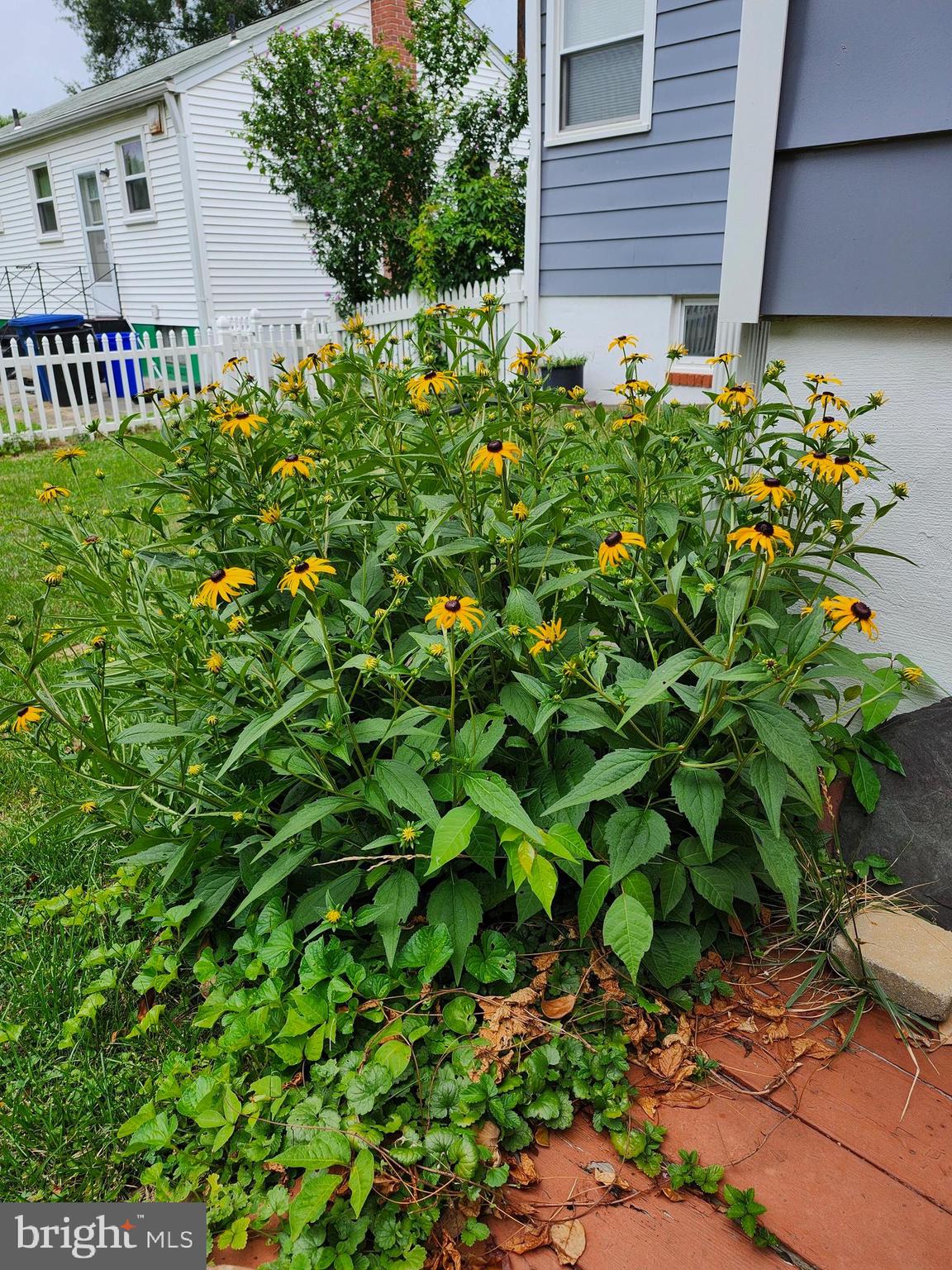 BERWYN HEIGHTS - Residential