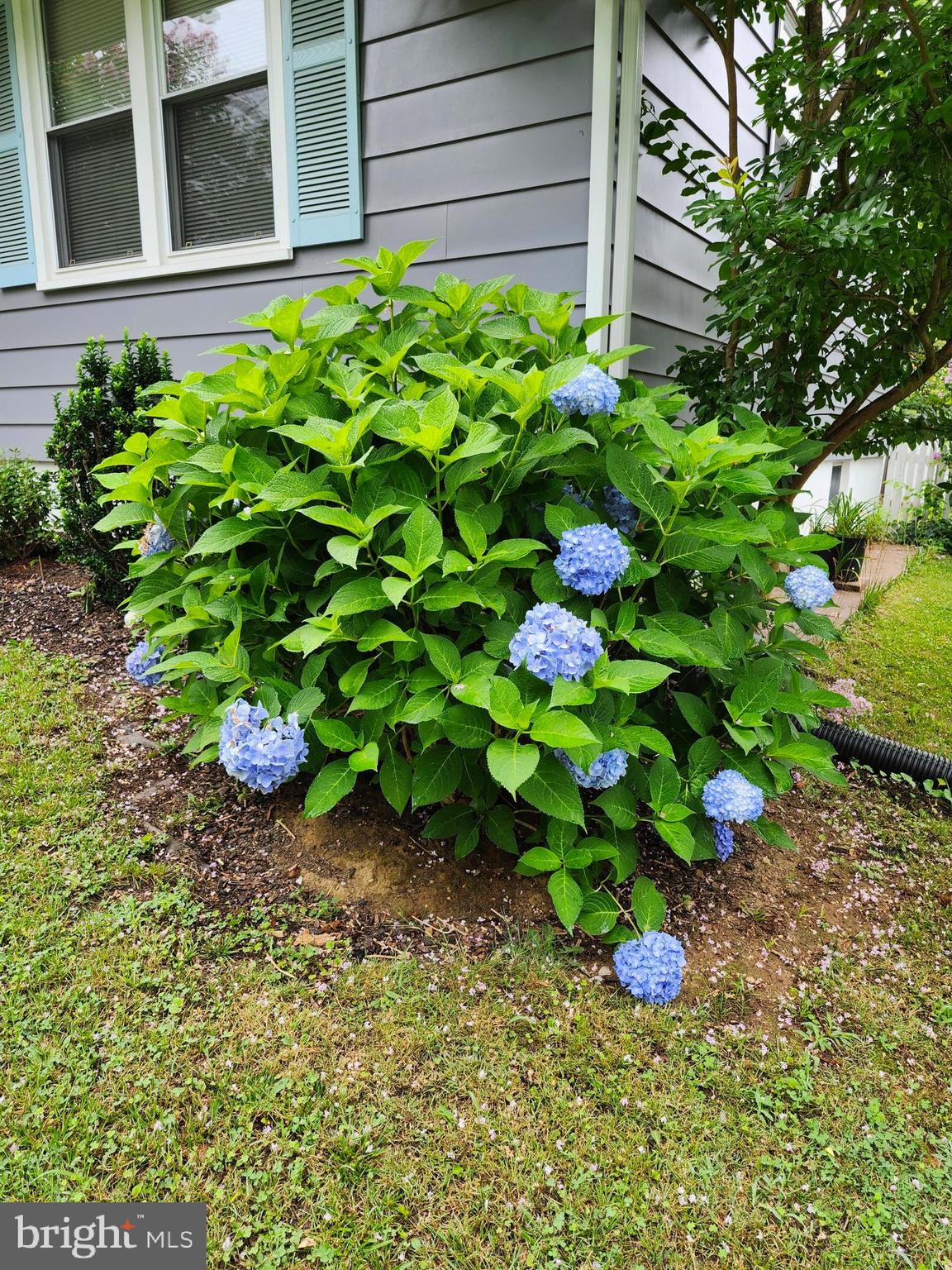 BERWYN HEIGHTS - Residential